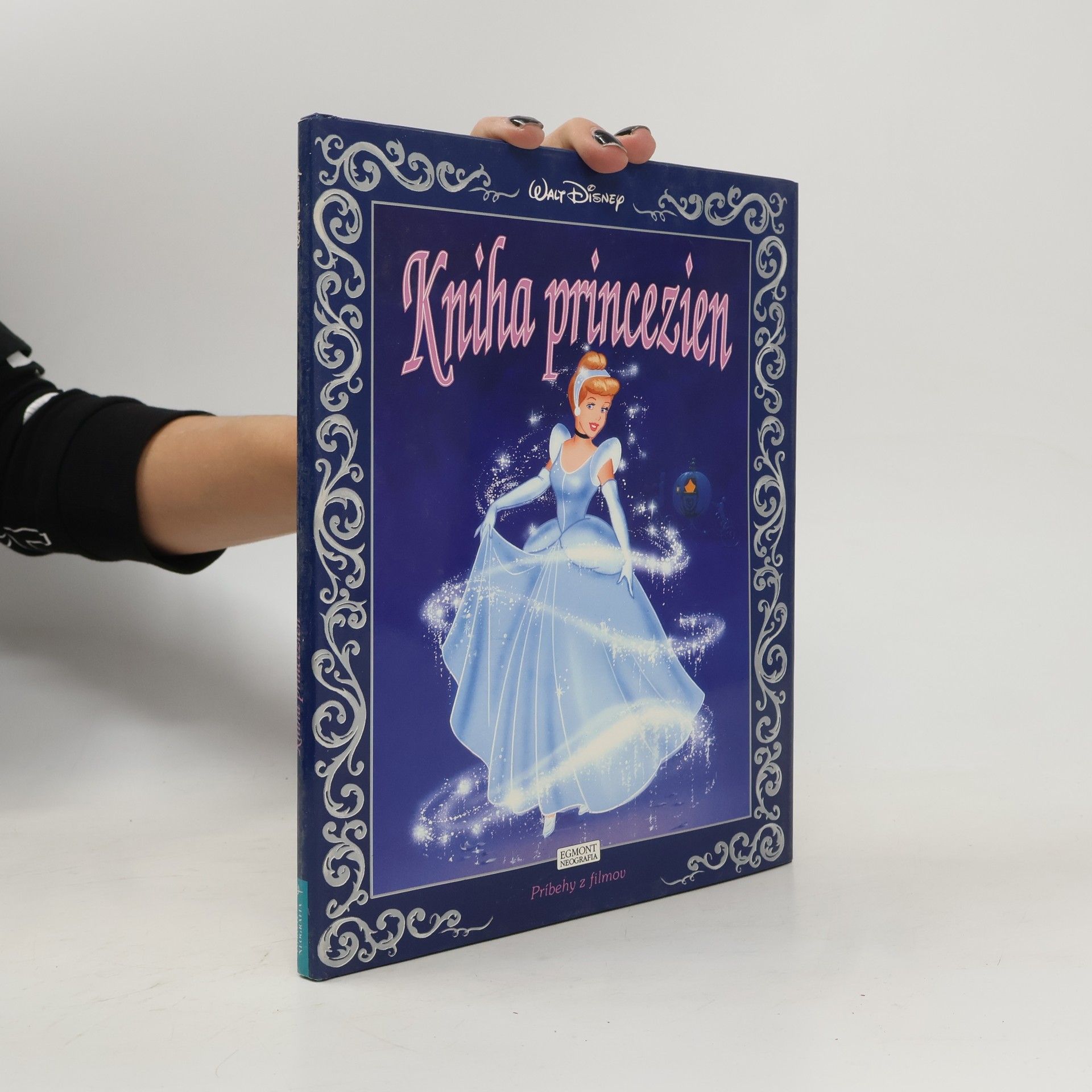 Ann Braybrooks Kniha princezien