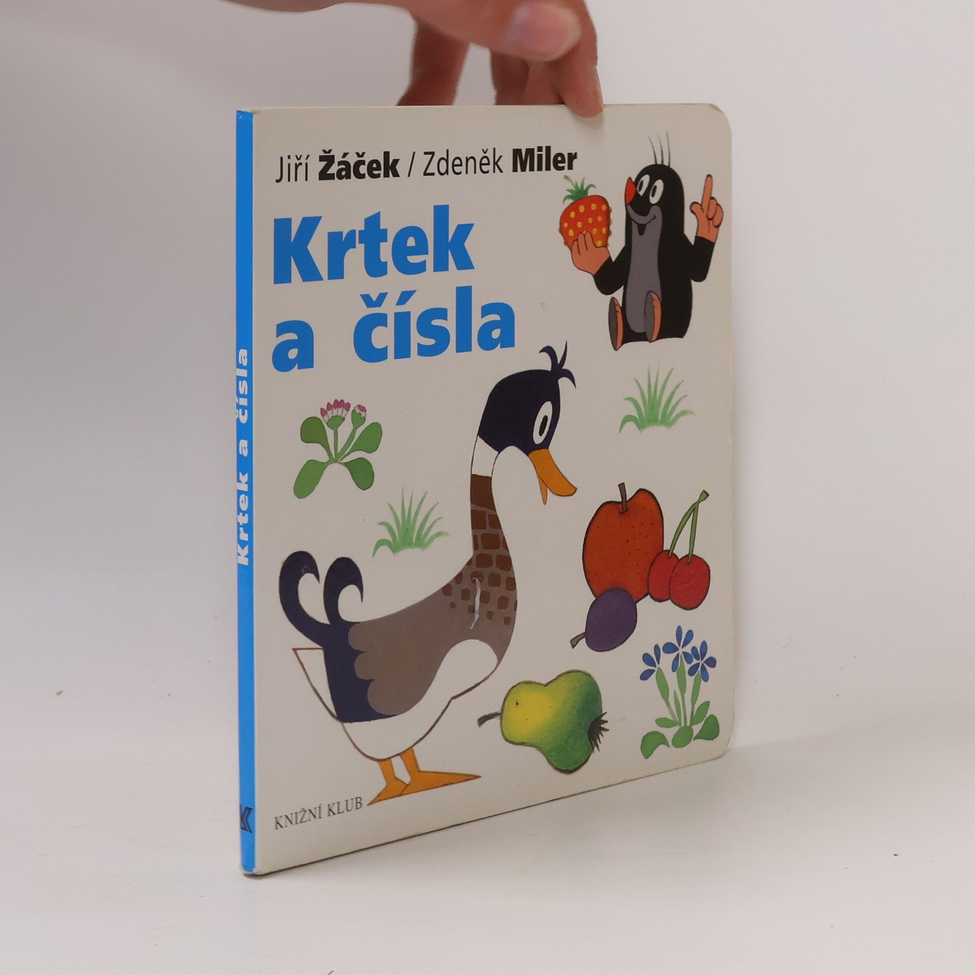 Krtek a čísla