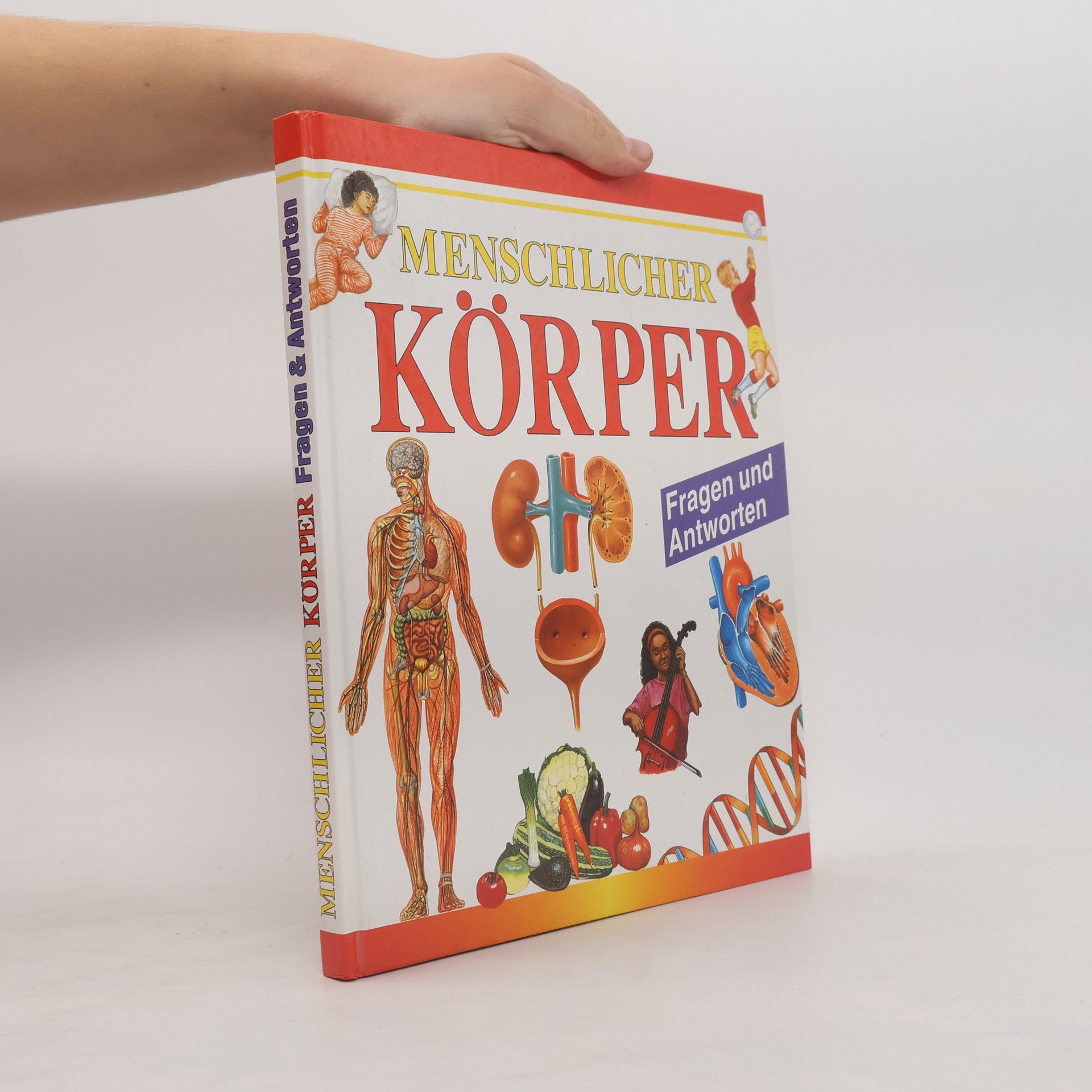 Trevor Day 1001 Fragen und Antworten, der menschliche Körper