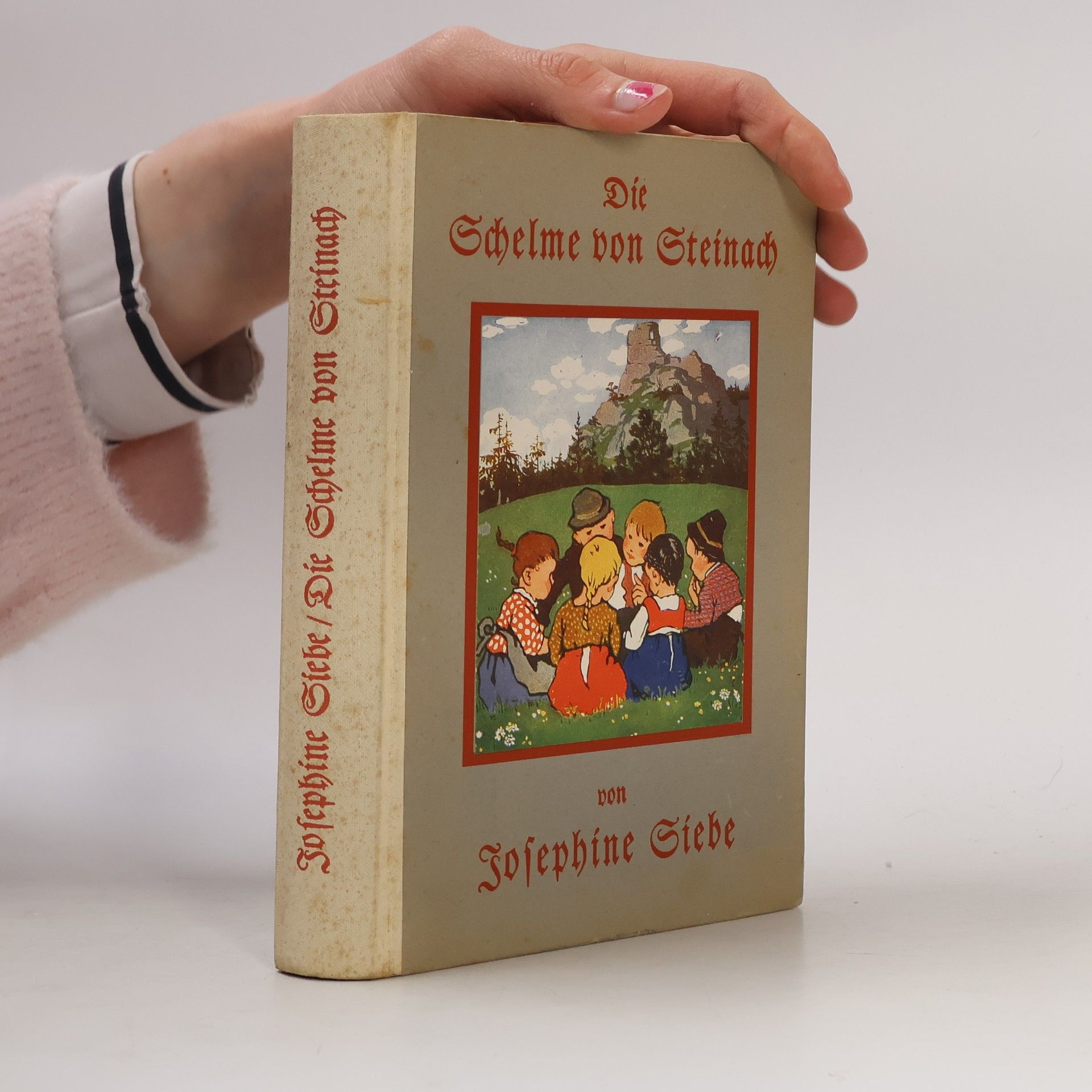 Die Schelme von Steinach