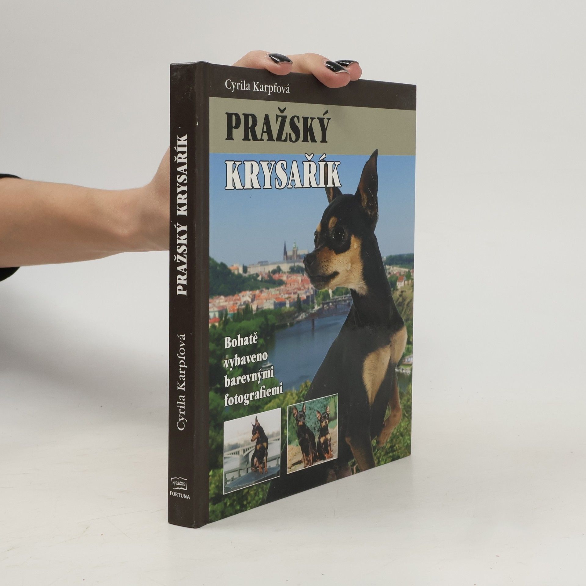 Cyrila Karpfová Pražský krysařík