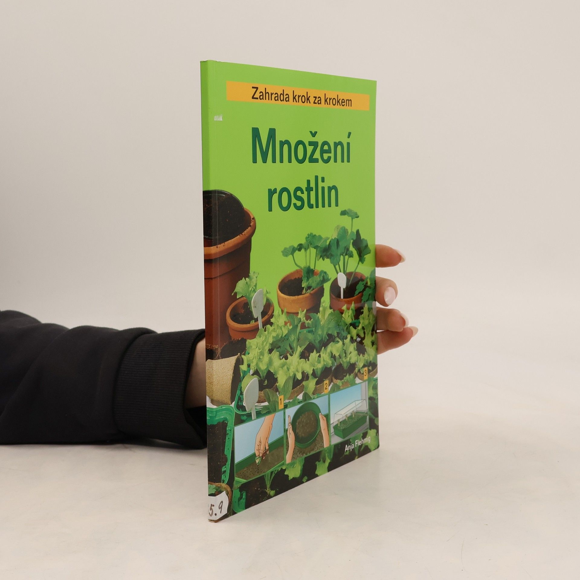 Anja Flehmig Množení rostlin