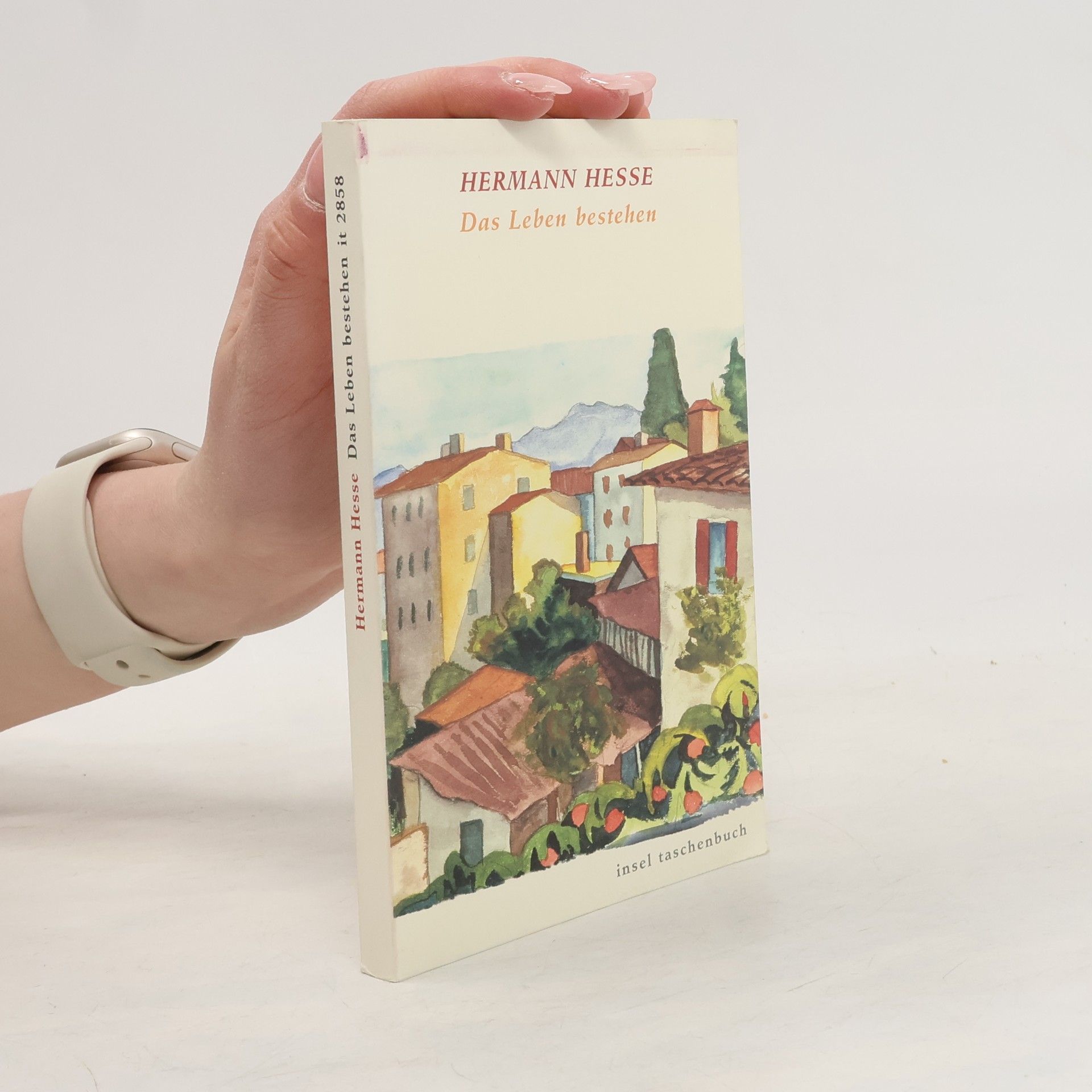 Hermann Hesse Das Leben bestehen