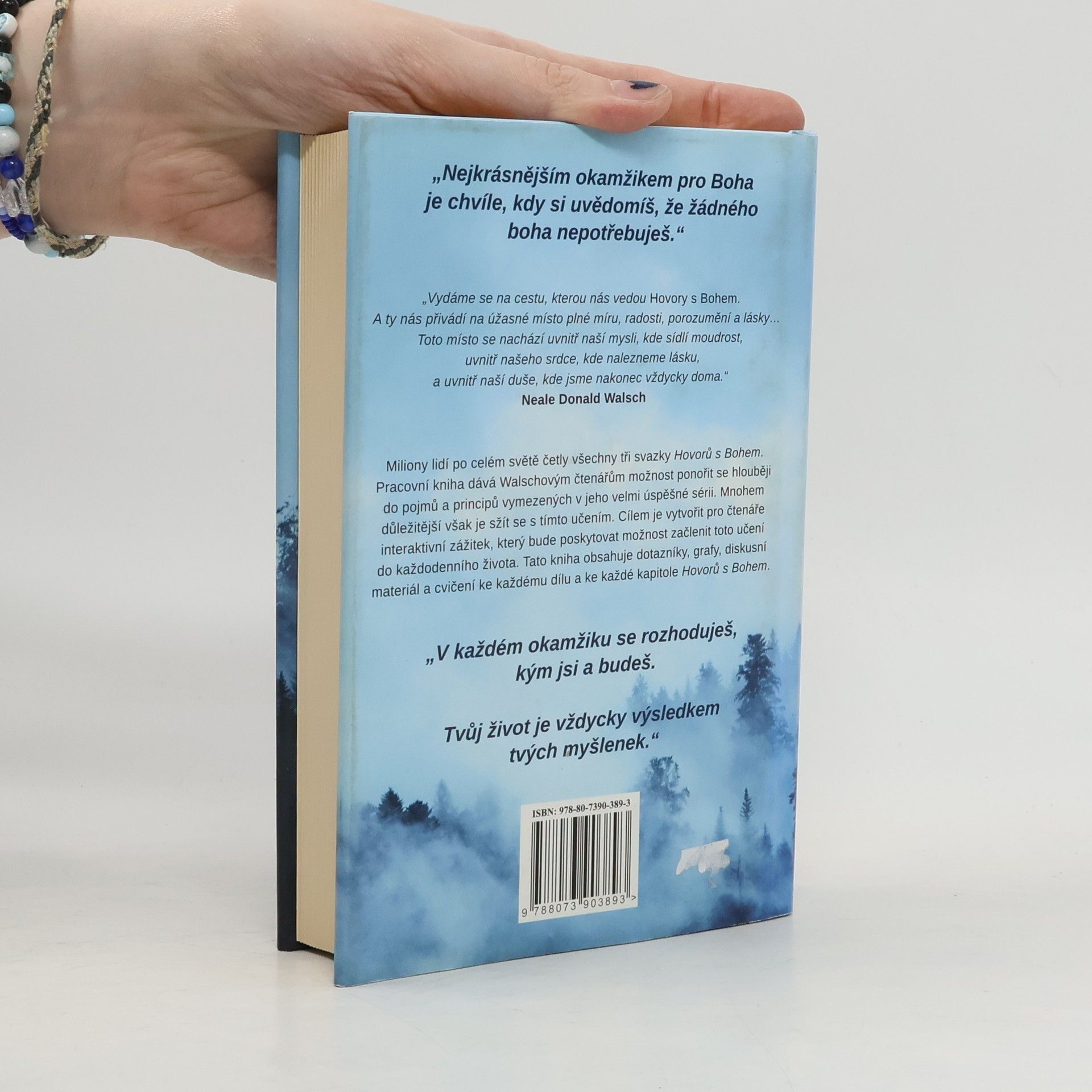 Neale Donald Walsch Hovory s Bohem: Pracovní kniha