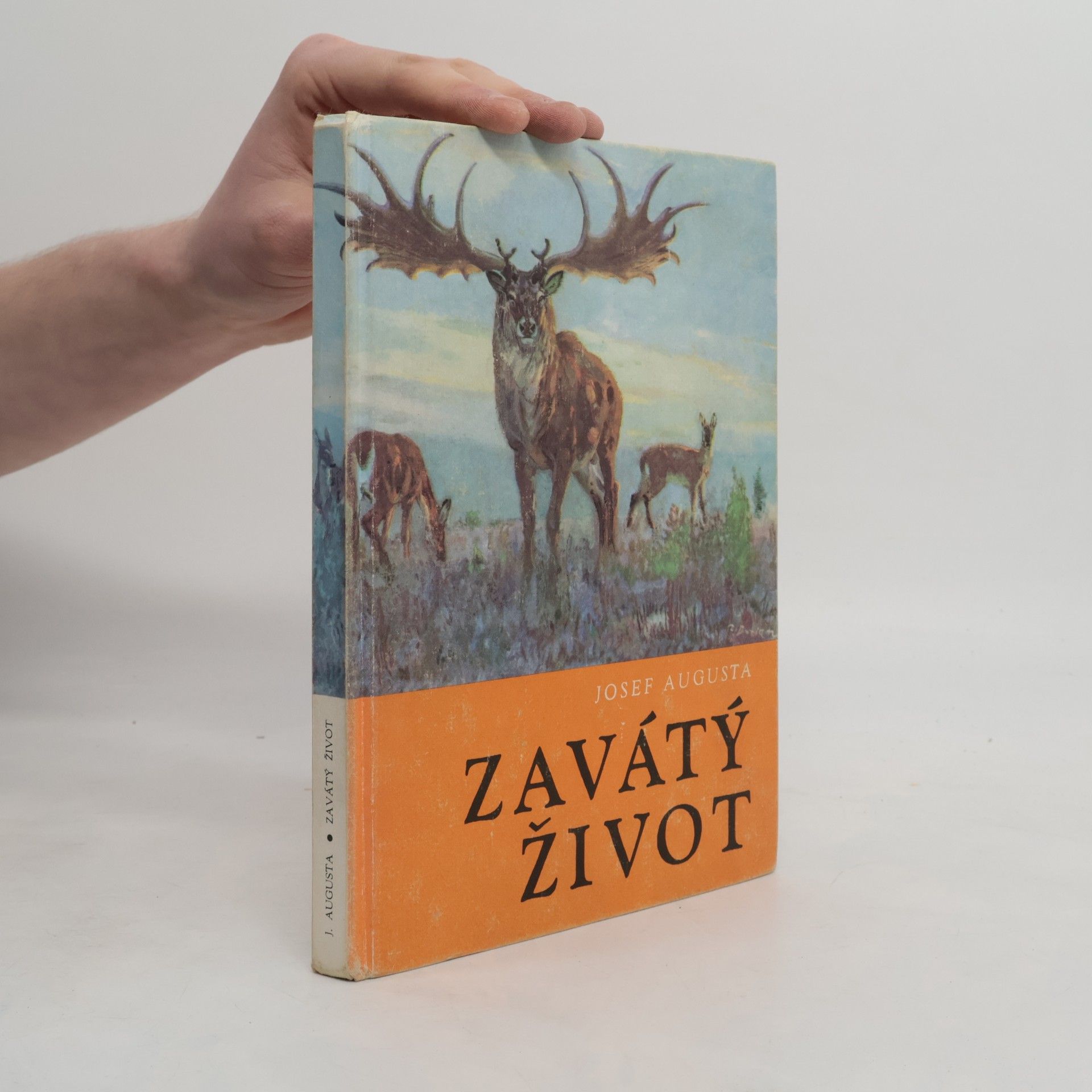 Zavátý život