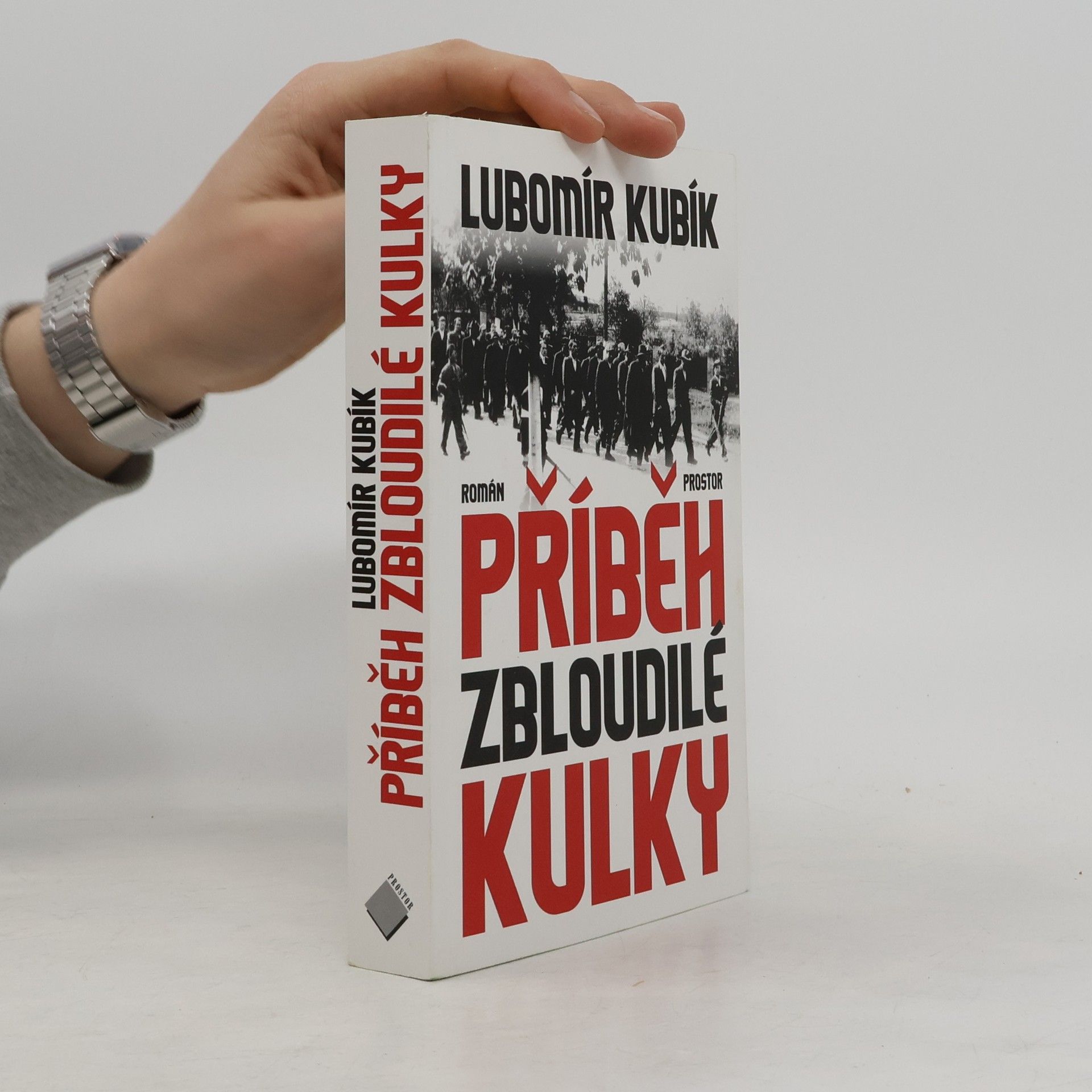 Lubomír Kubík Příběh zbloudilé kulky
