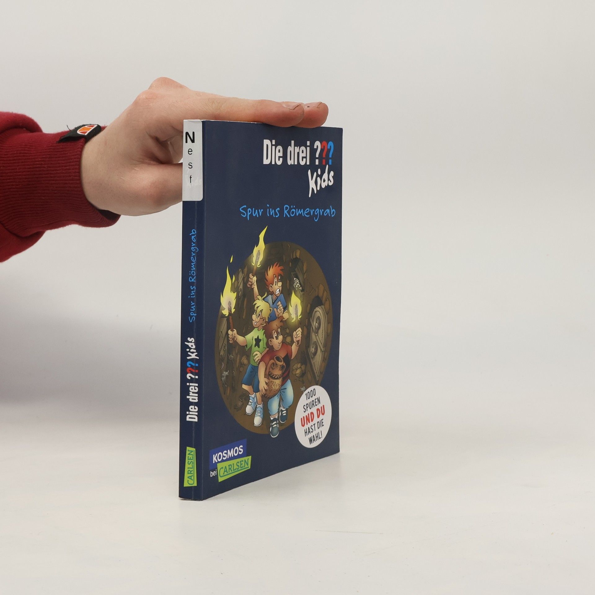 Boris Pfeiffer Die drei ??? Kids : Spur ins Römergrab