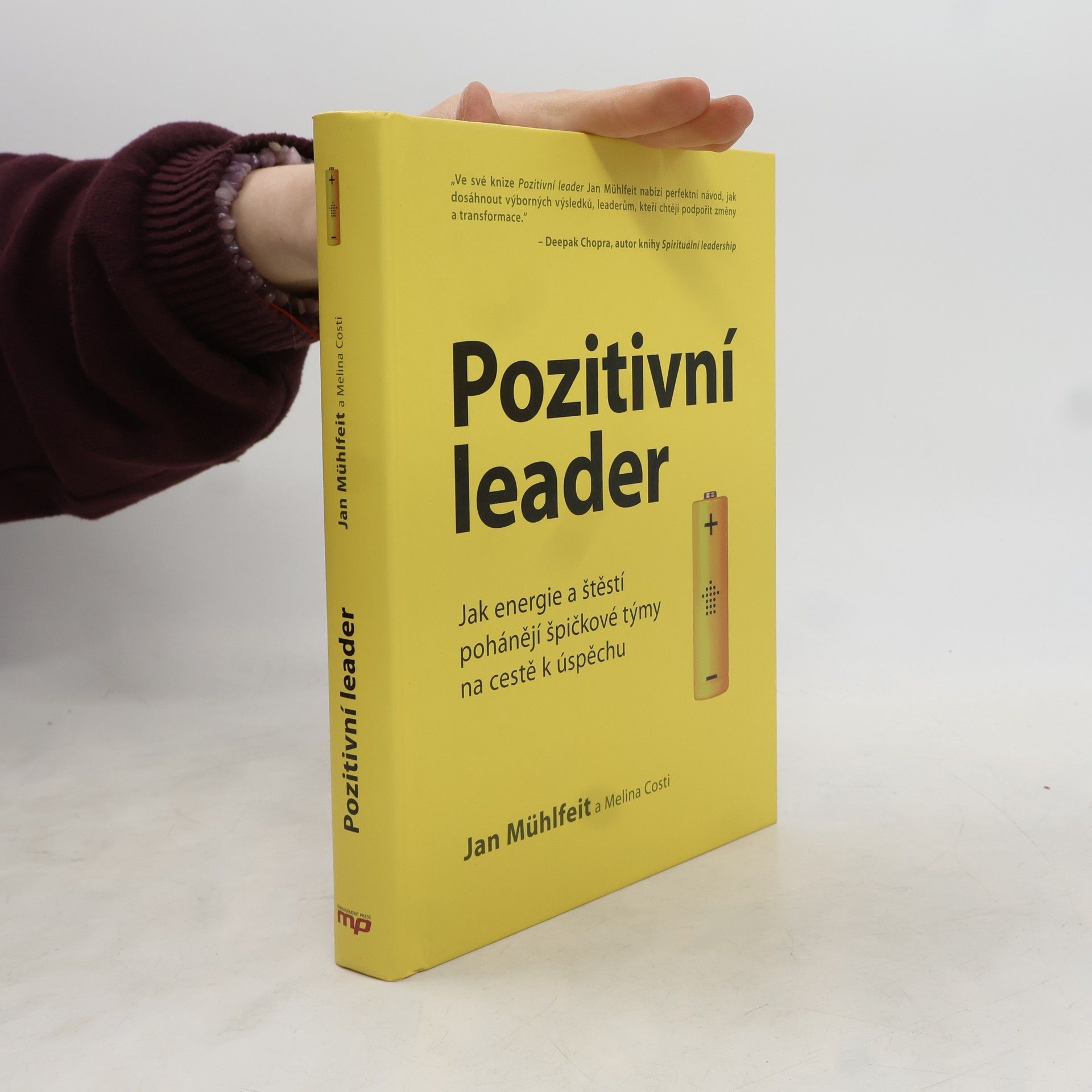 Jan Mühlfeit Pozitivní leader