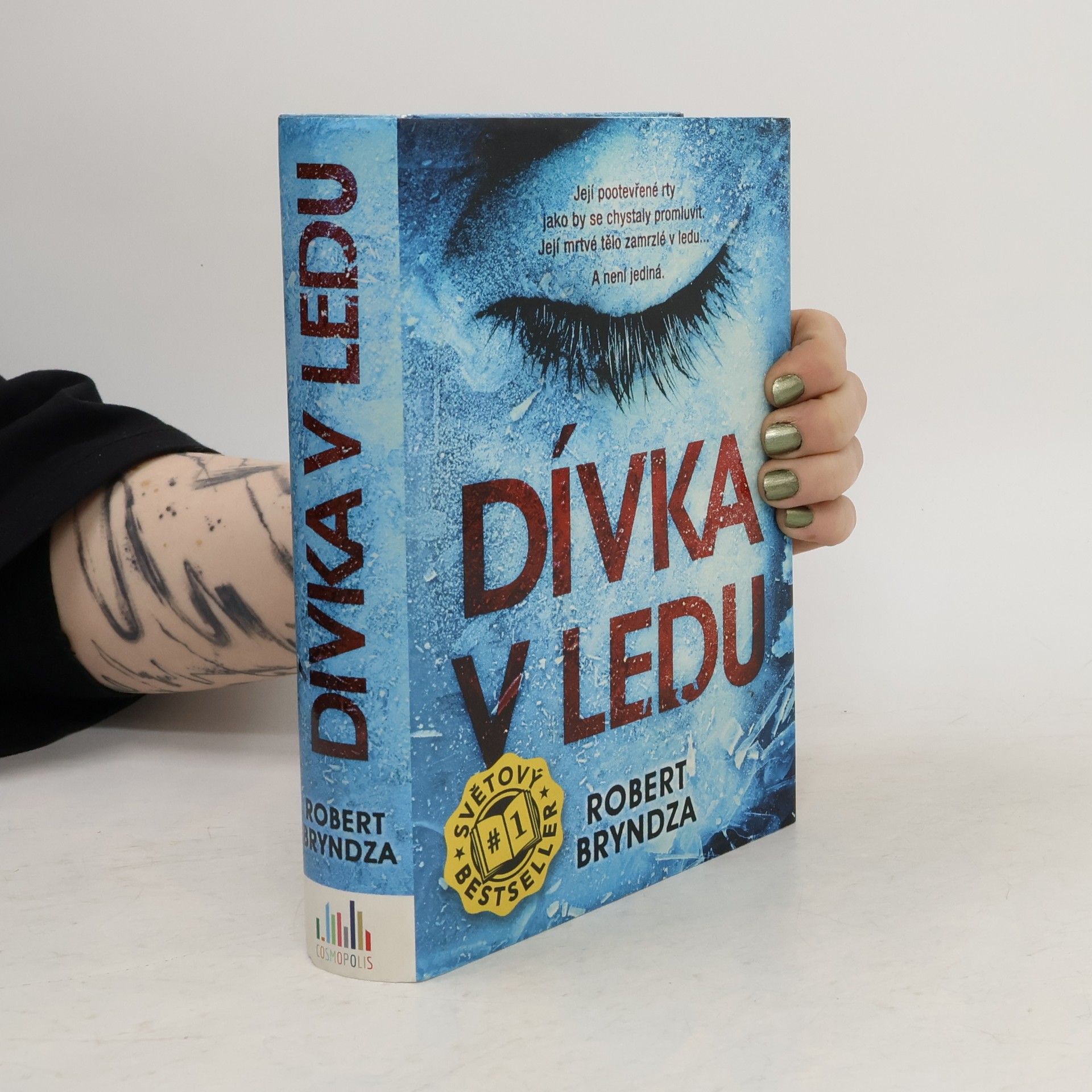 Robert Bryndza Dívka v ledu