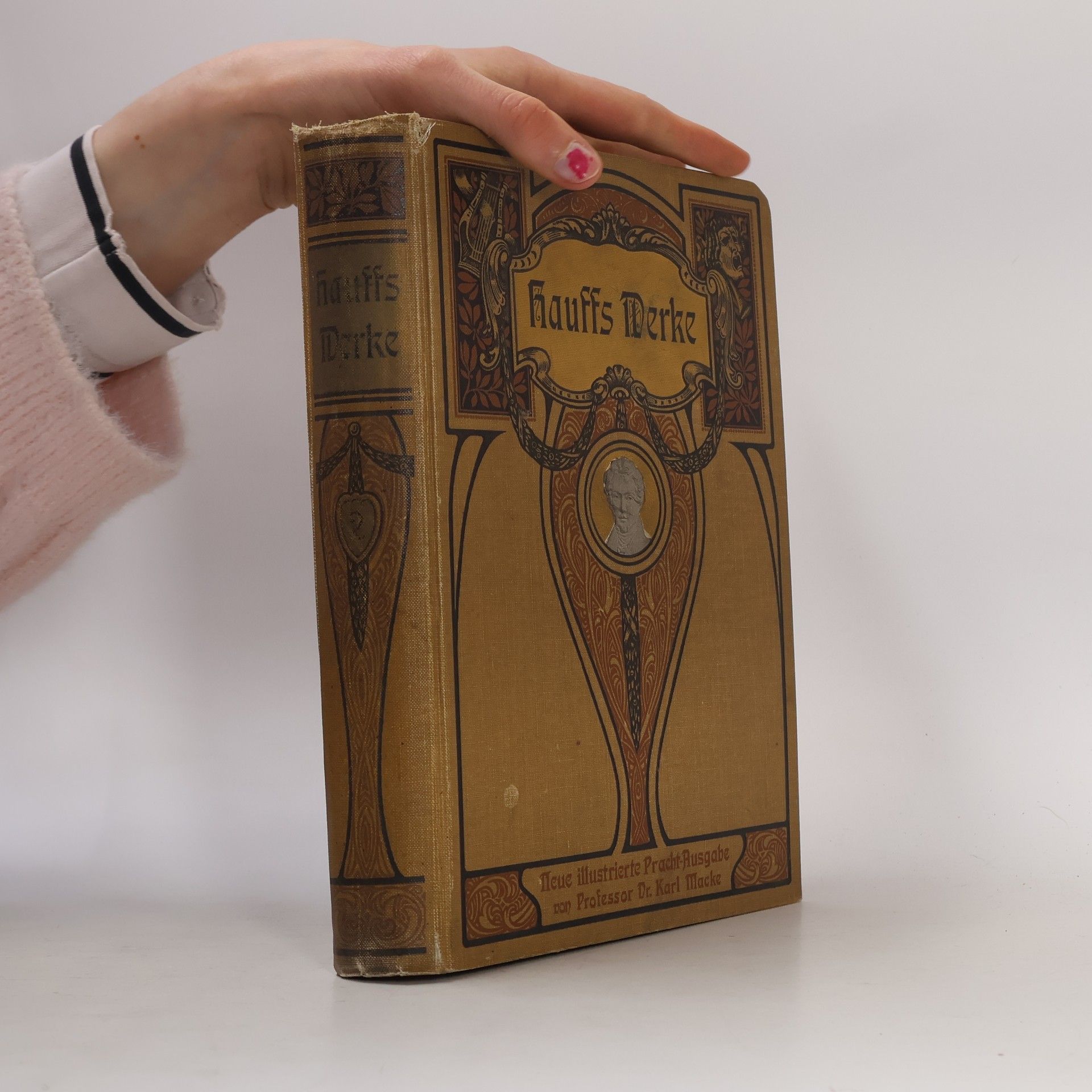 Hauffs Werke II. Band 