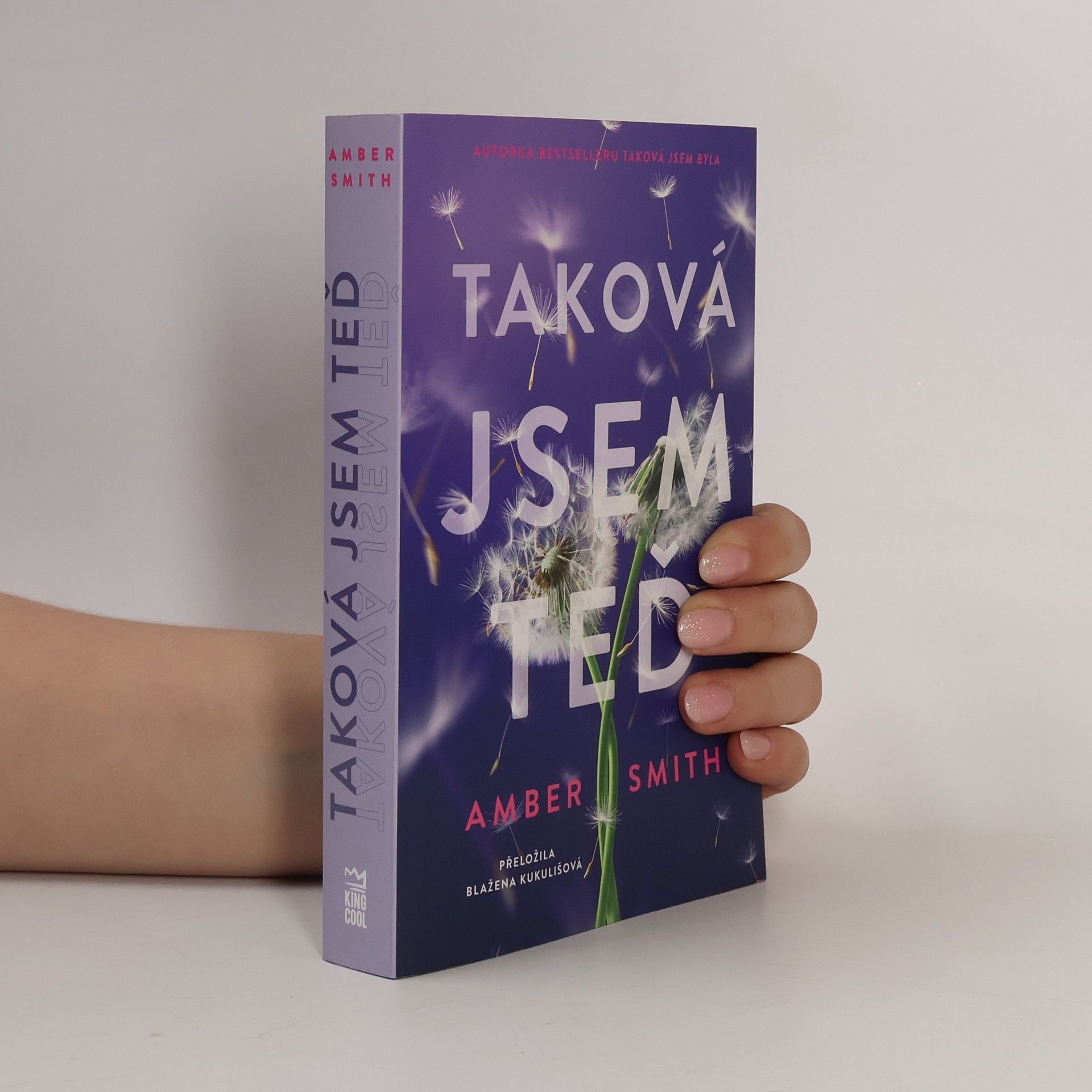 Amber Smith Taková jsem teď