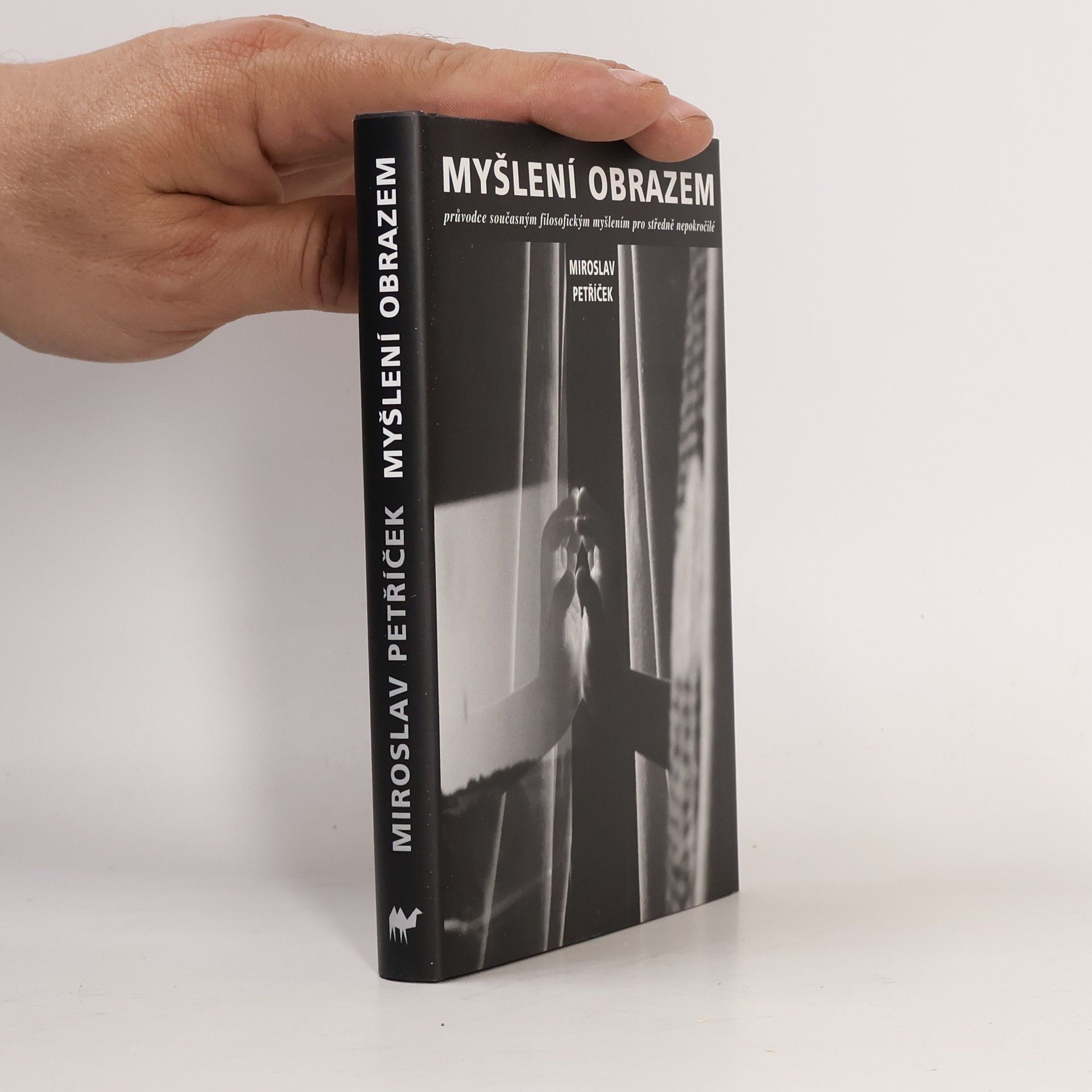 Miroslav Petříček Myšlení obrazem: Průvodce současným filosofickým myšlením pro středně nepokročilé