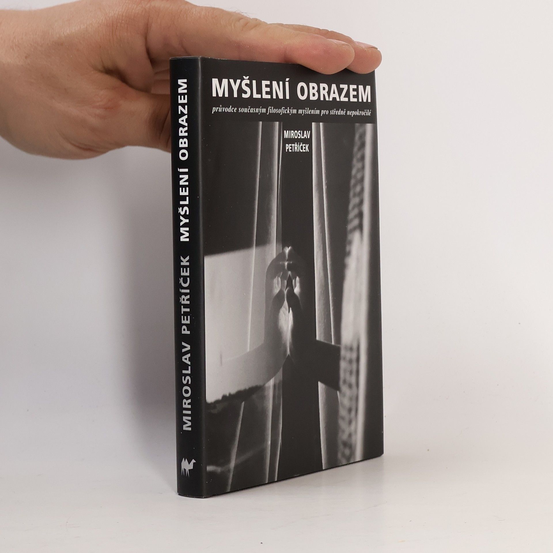 Miroslav Petříček Myšlení obrazem: Průvodce současným filosofickým myšlením pro středně nepokročilé
