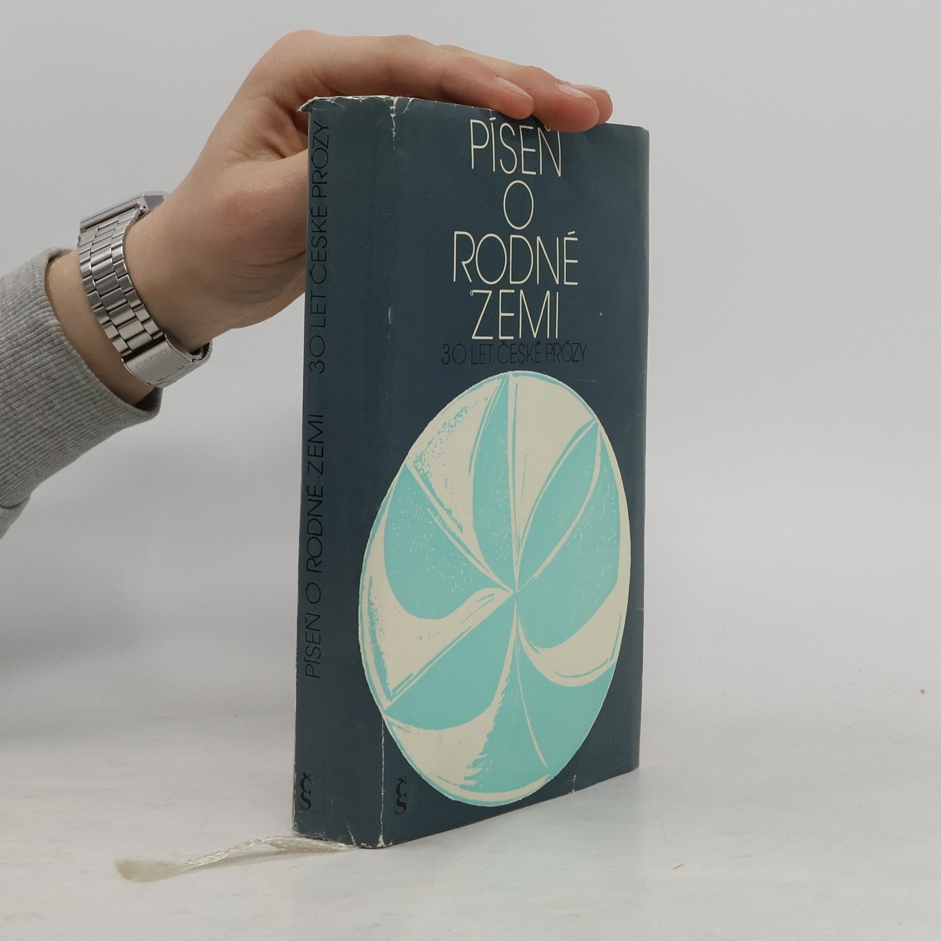 Collectif d'auteurs Píseň o rodné zemi: 30 let české prózy