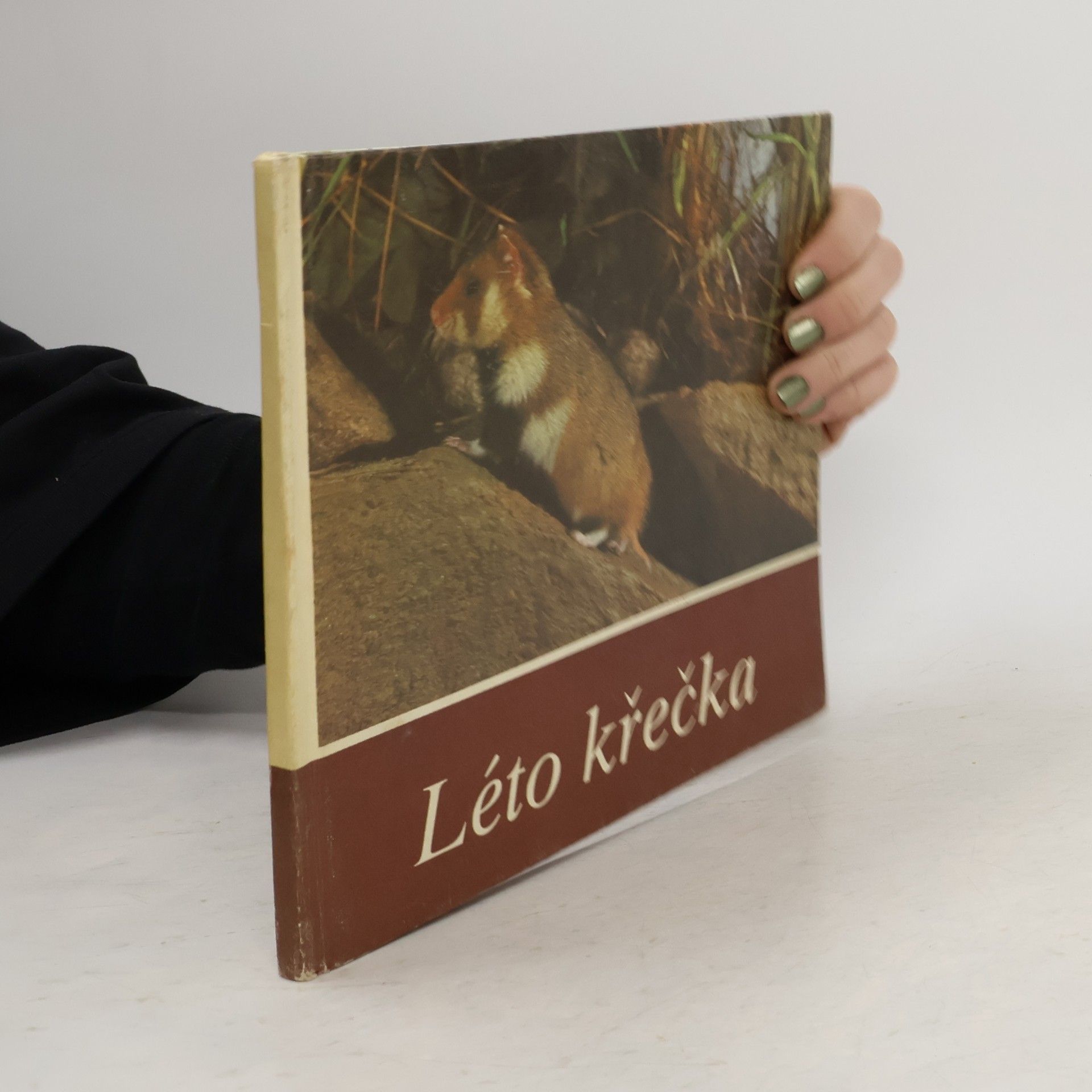 Léto křečka. Rok ze života našeho křečka polního