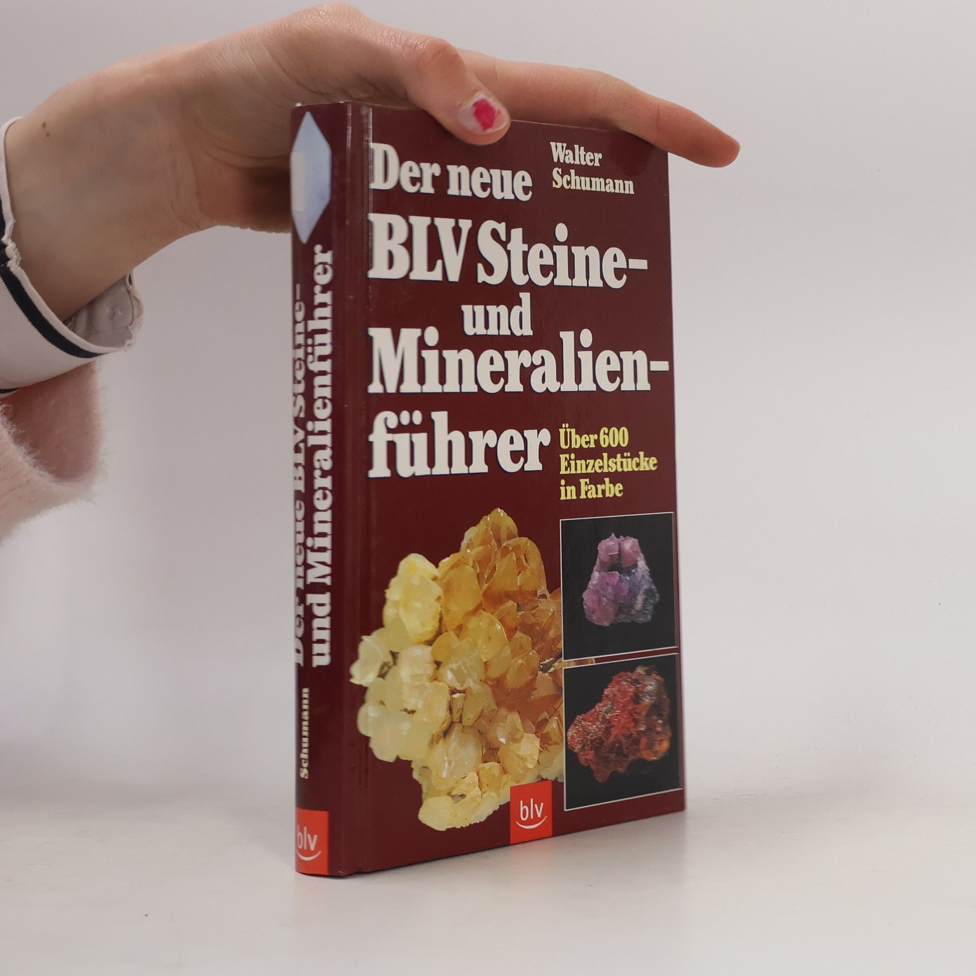 Der neue BLV-Steine- und Mineralienführer