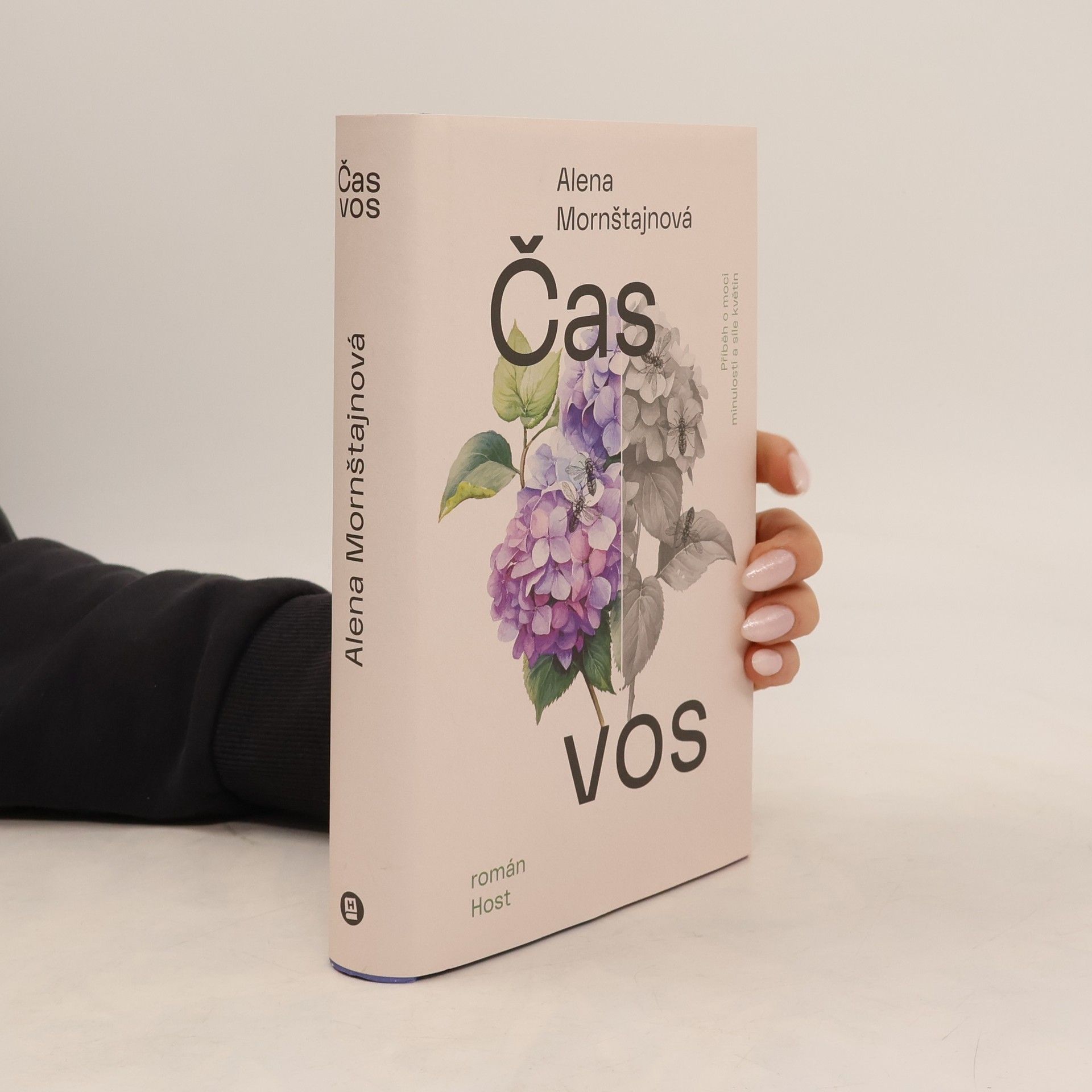 Alena Mornštajnová Čas vos