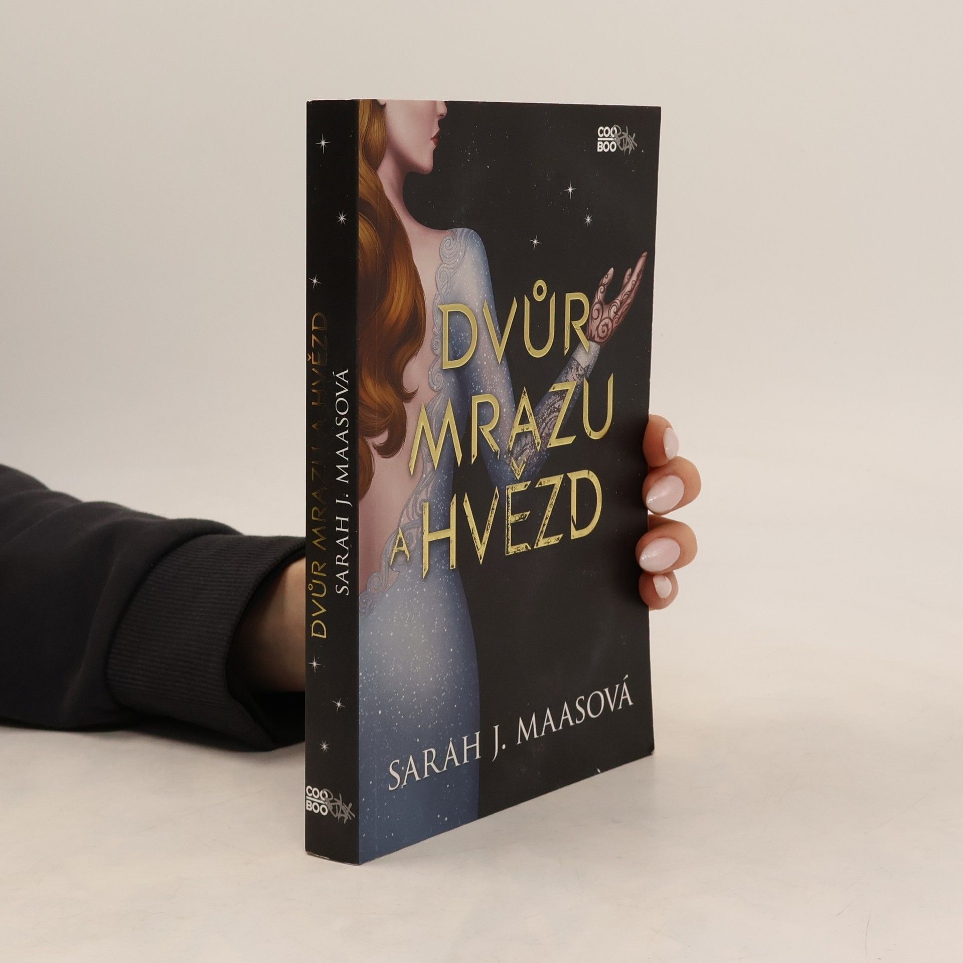 Sarah J. Maas Dvůr mrazu a hvězd