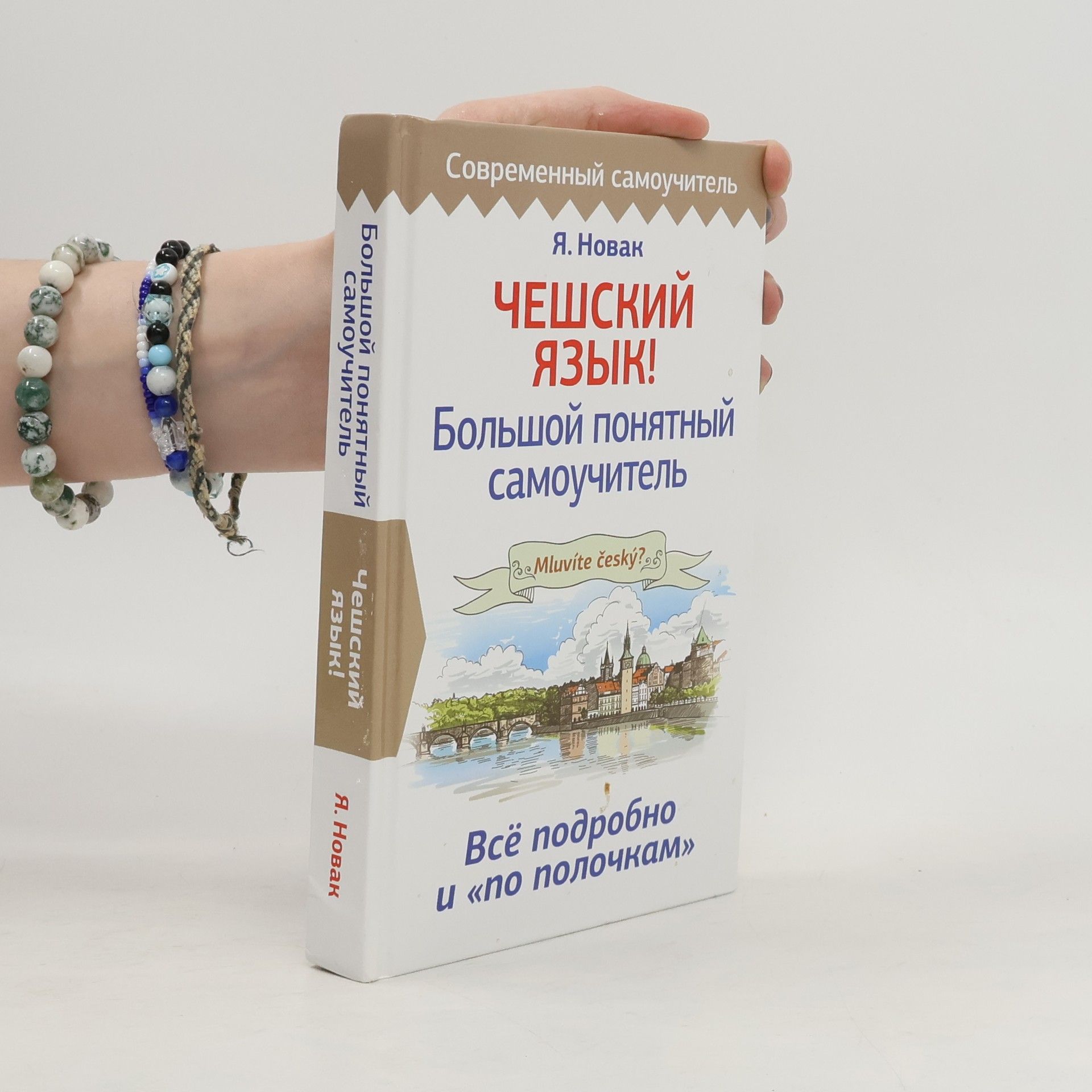 Autorenkollektiv Чешский язык! Большой понятный самоучитель (Cheshskiy yazyk! Bol'shoy ponyatnyy samouchitel')