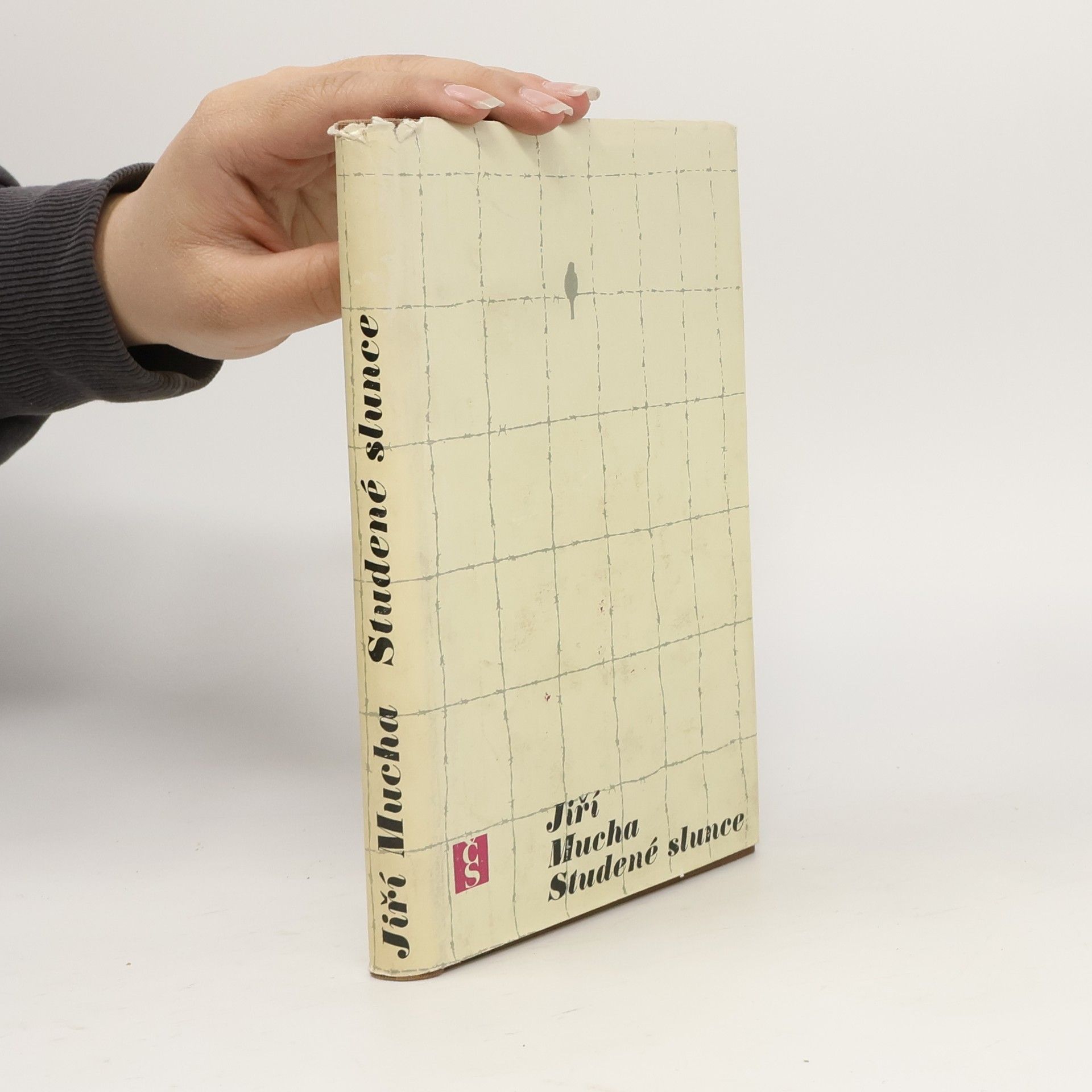 Jiří Mucha Studené slunce