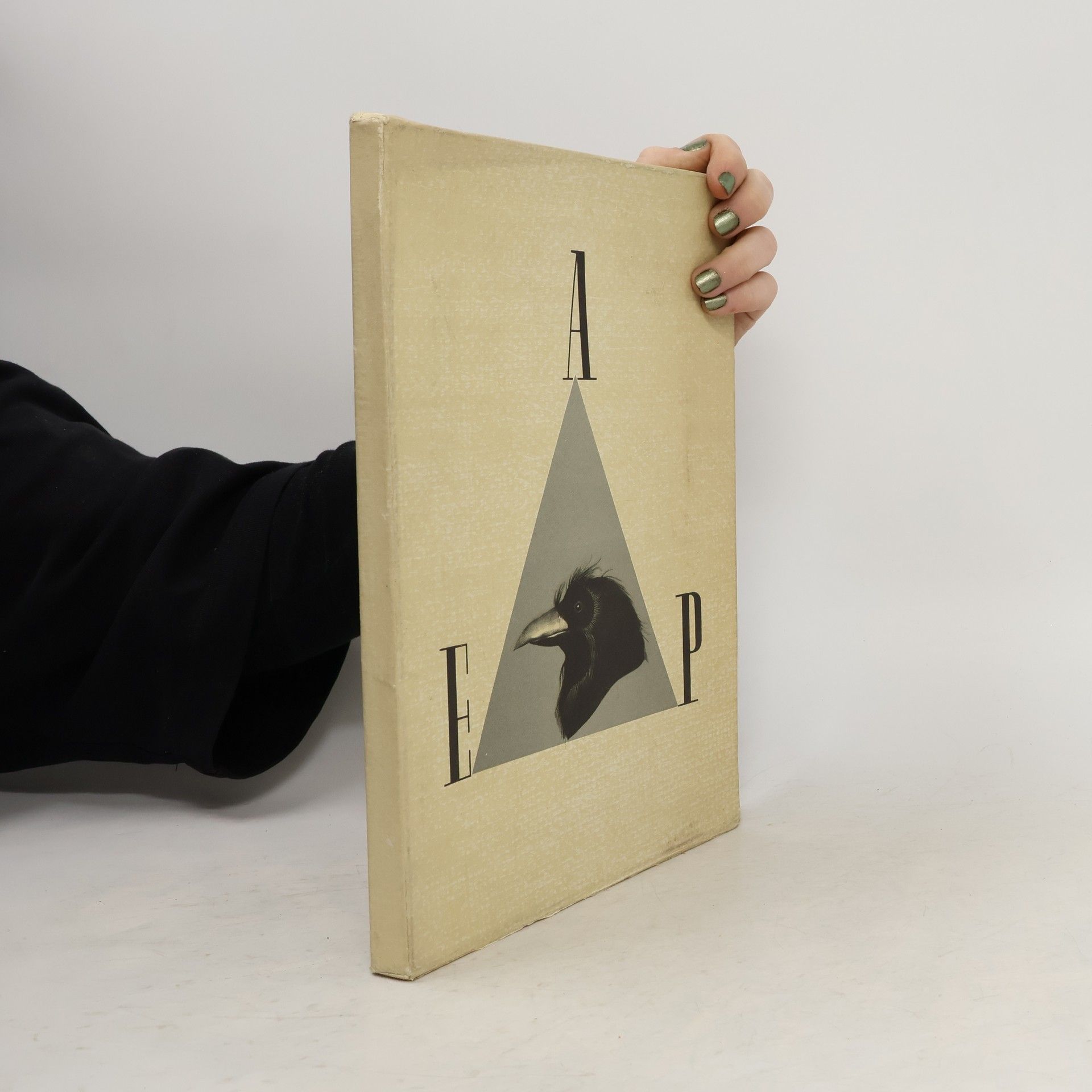 Edgar Allan Poe Havran