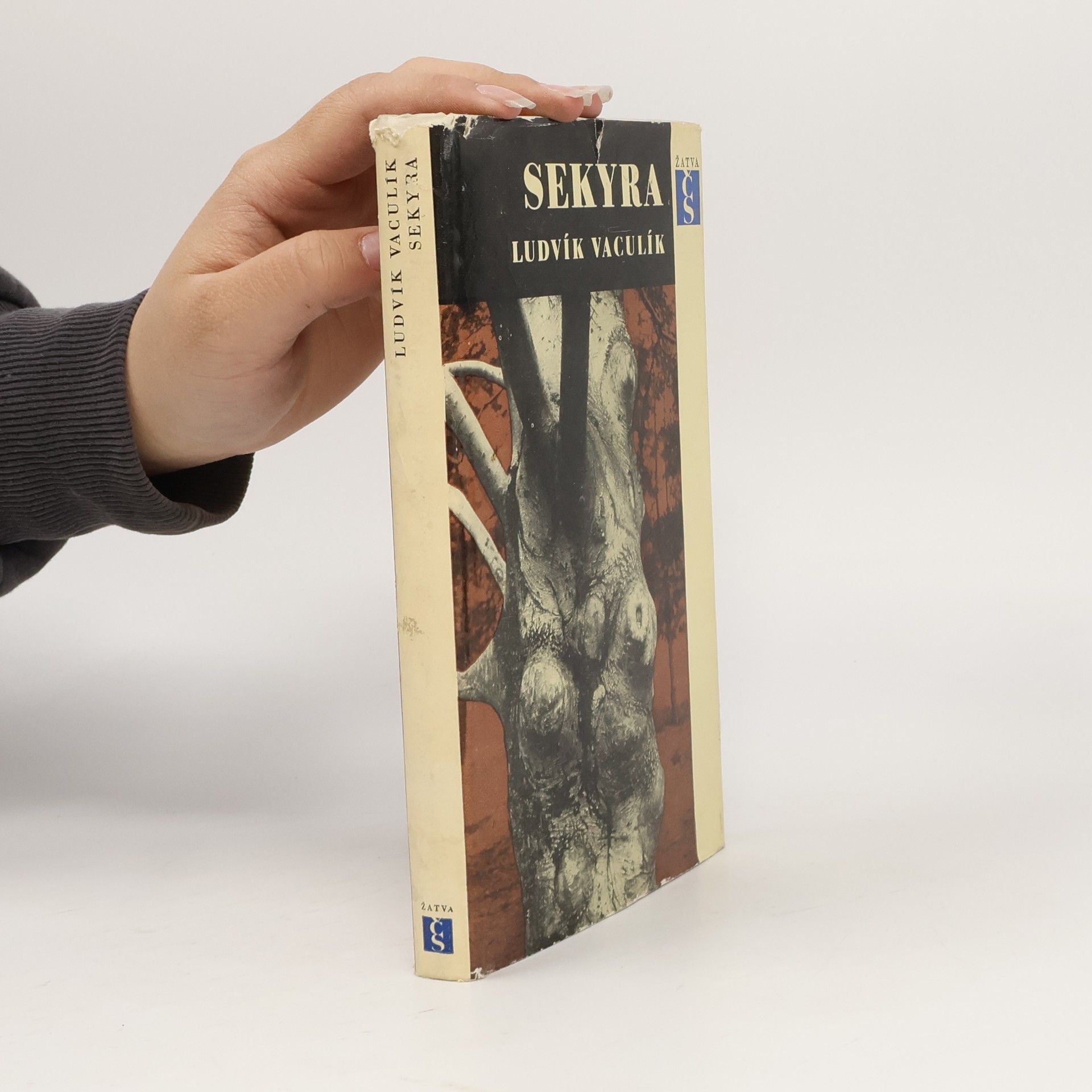 Ludvík Vaculík Sekyra