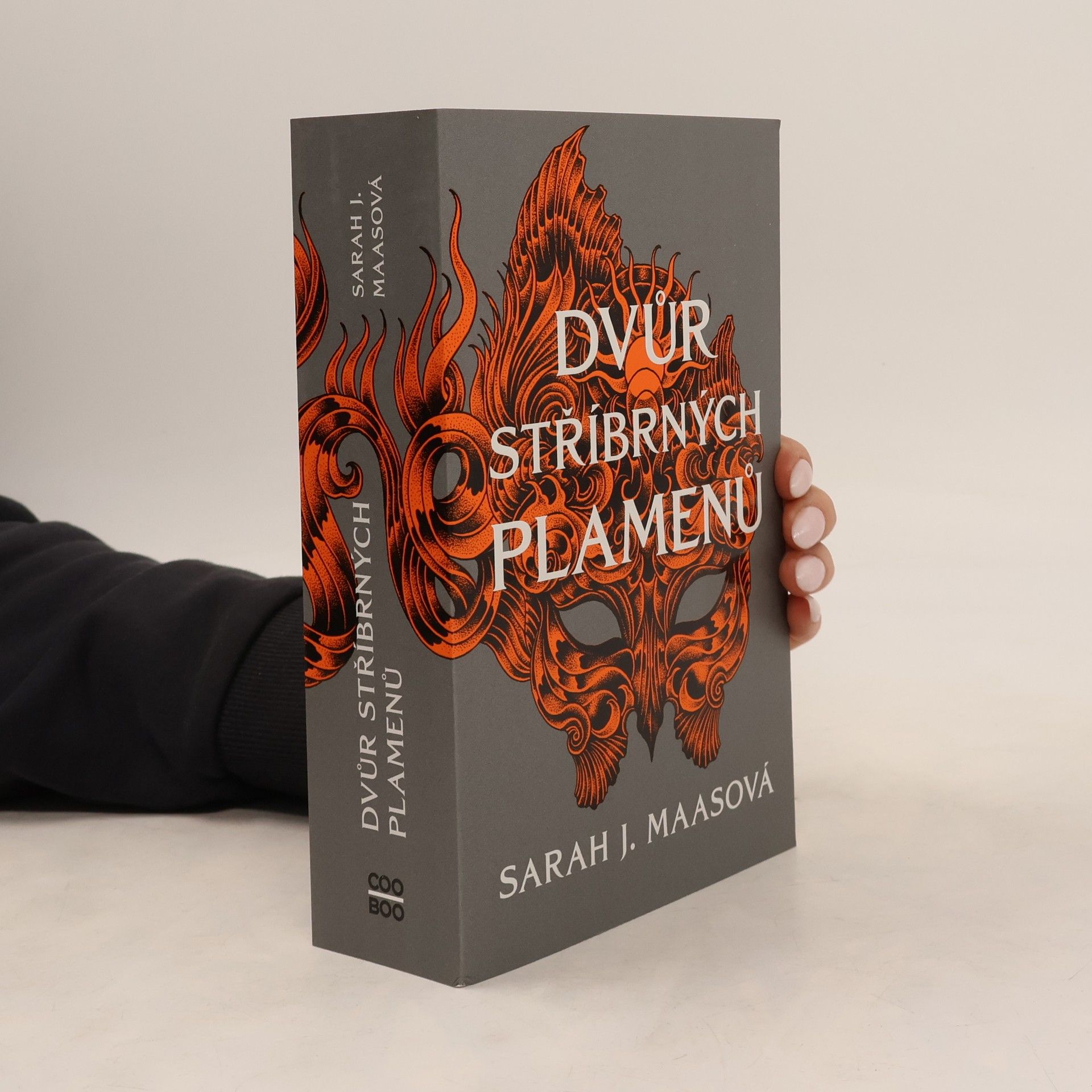 Sarah J. Maas Dvůr stříbrných plamenů