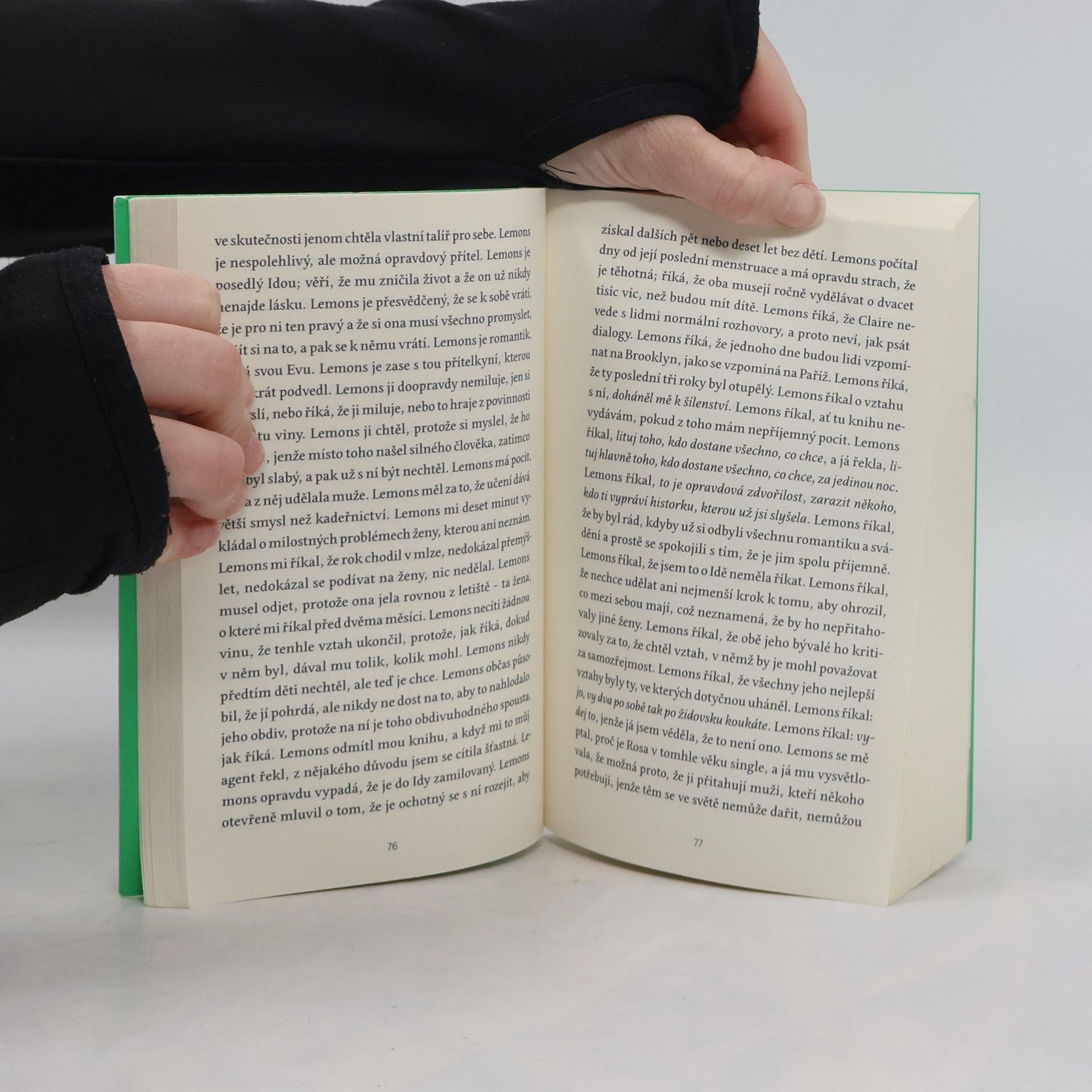 Sheila Heti Abecední deníky