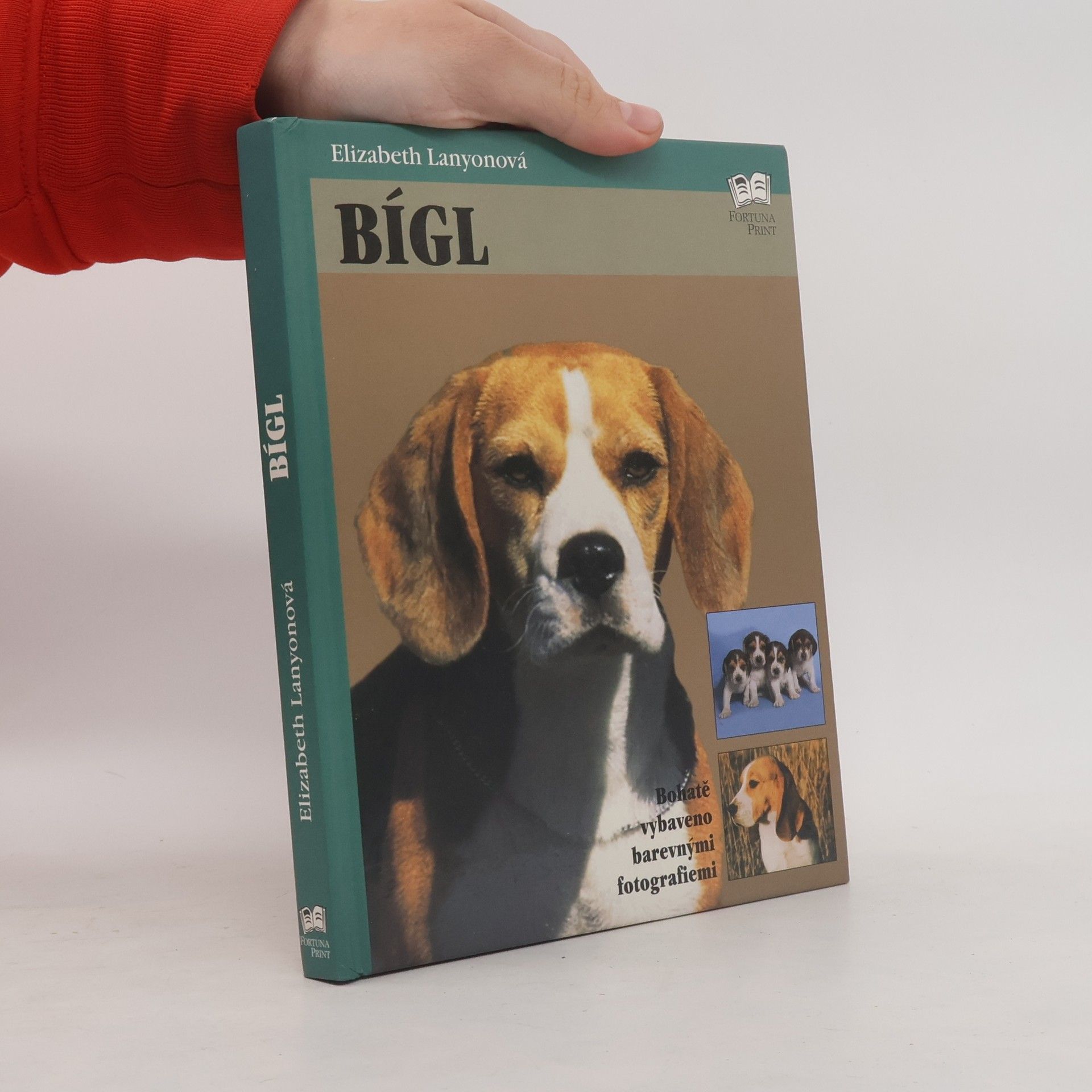 Elizabeth Lanyon Bígl