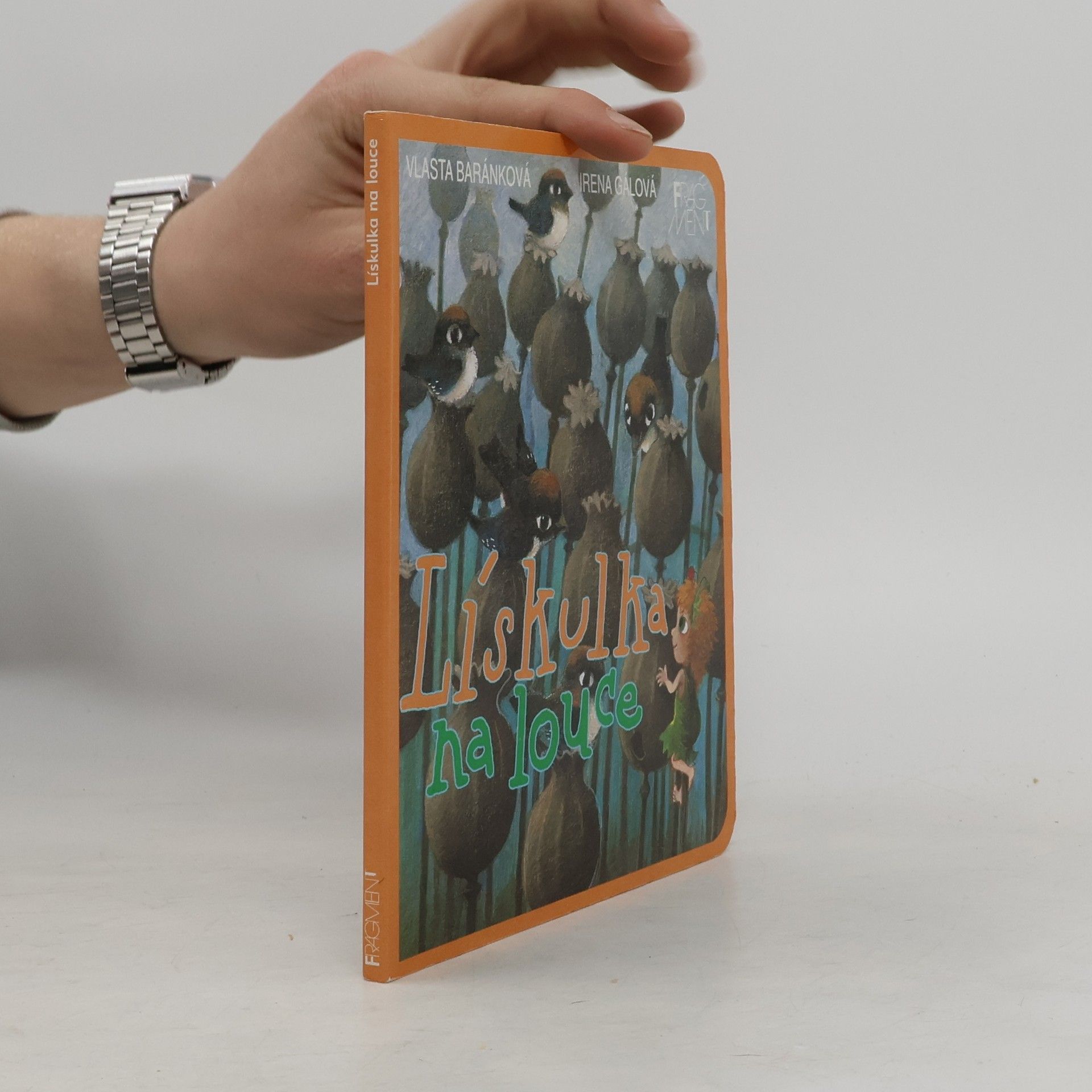 Irena Gálová Lískulka na louce