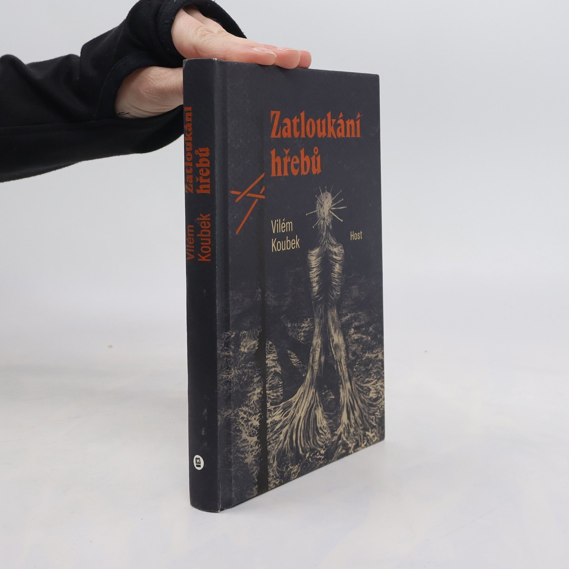 Vilém Koubek Zatloukání hřebů