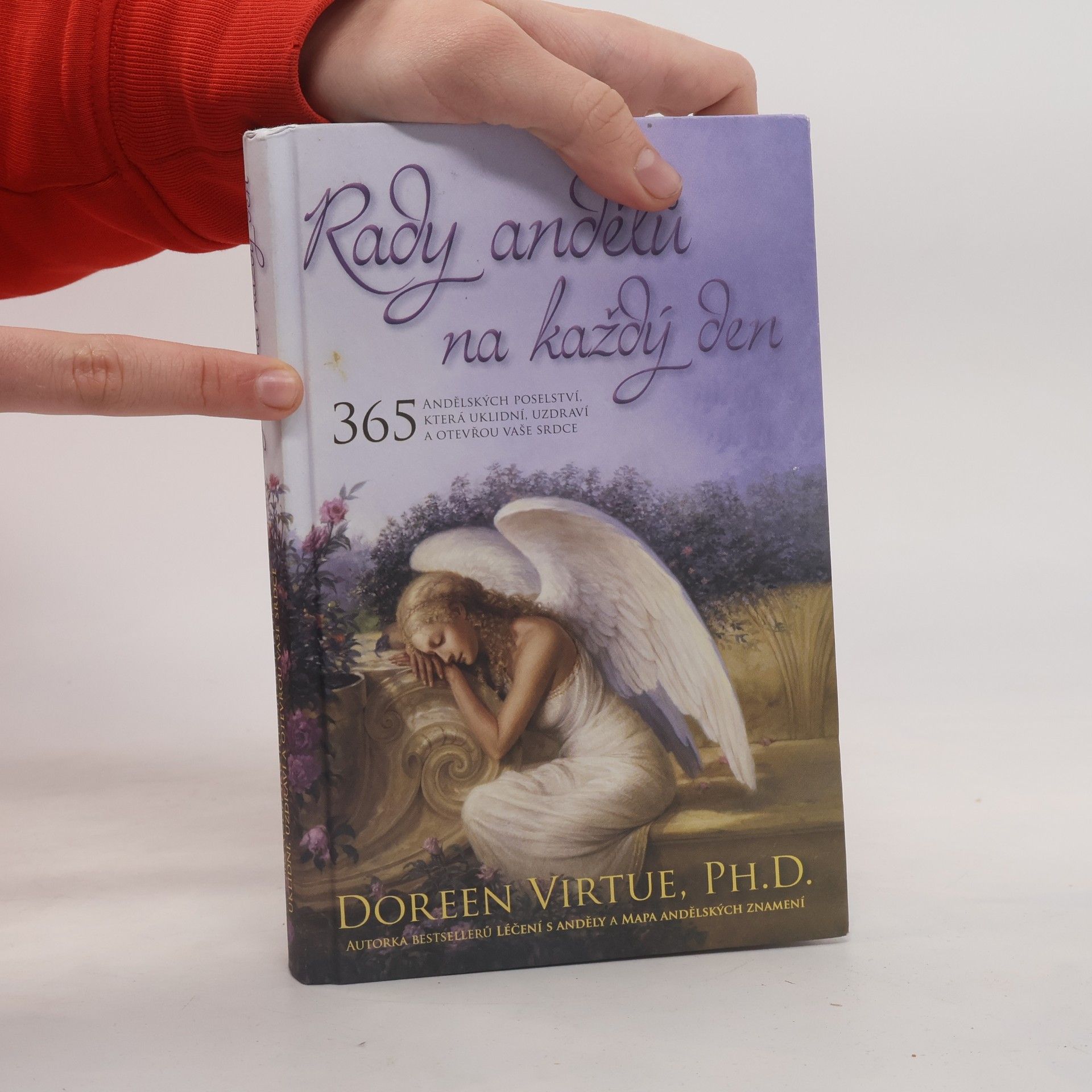Doreen Virtue Rady andělů na každý den