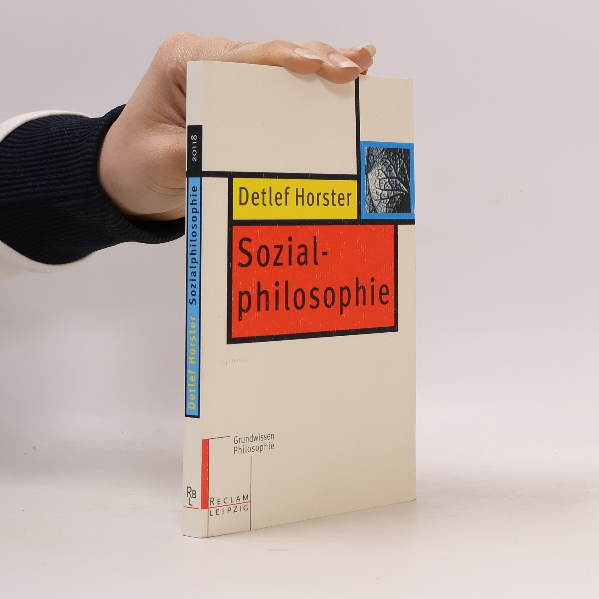 Detlef Horster Sozialphilosophie