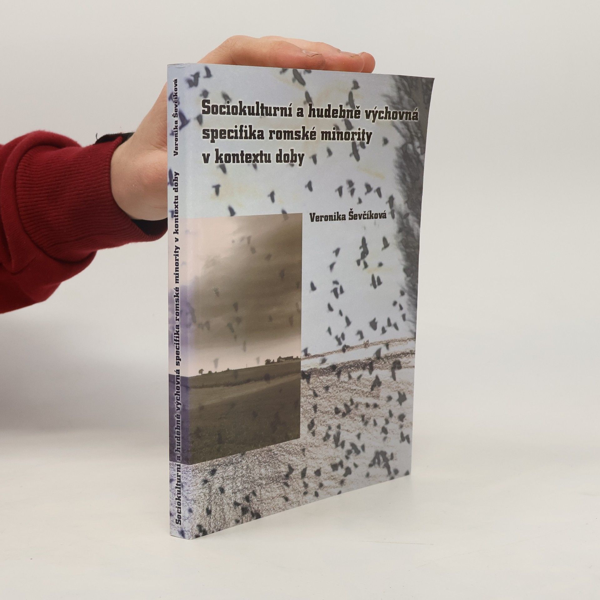 Veronika Ševčíková Sociokulturní a hudebně výchovná specifika romské minority v kontextu doby