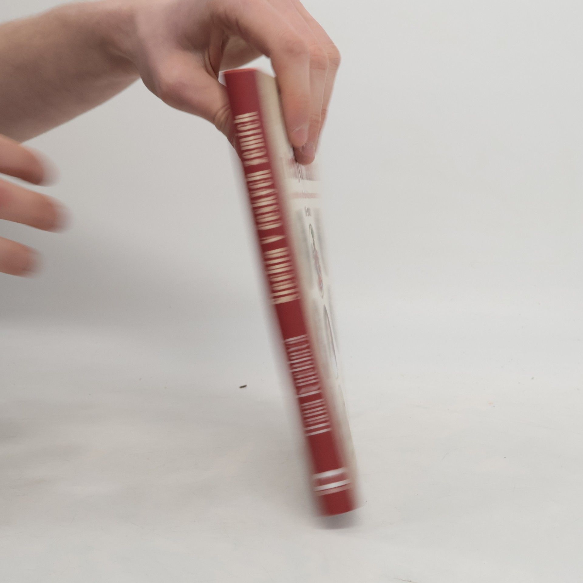 Hana Kneblová Šlechta v českých zemích 2 (díl druhý). Aristokracie od středověku po současnost