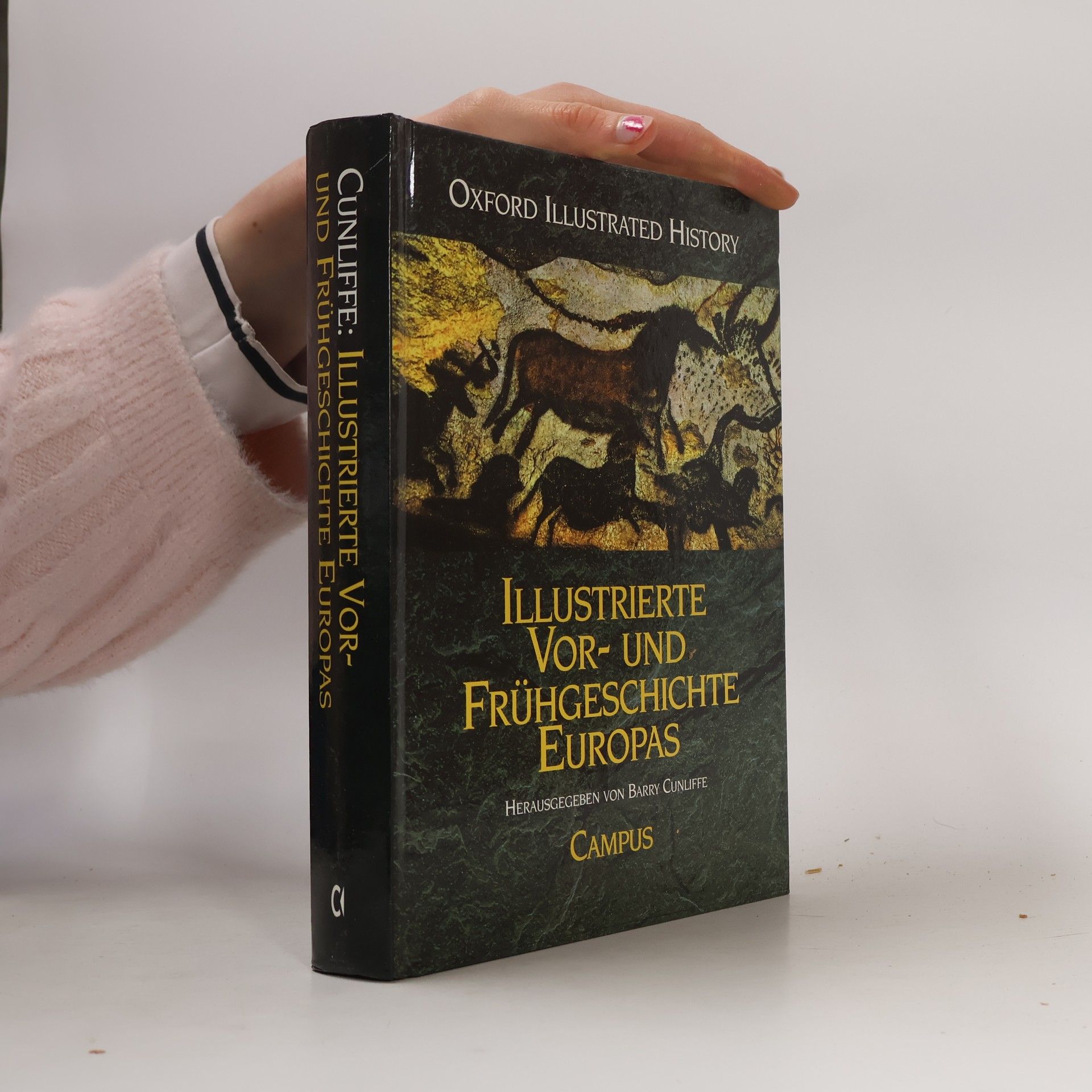 Barry Cunliffe Illustrierte Vor- und Frühgeschichte Europas