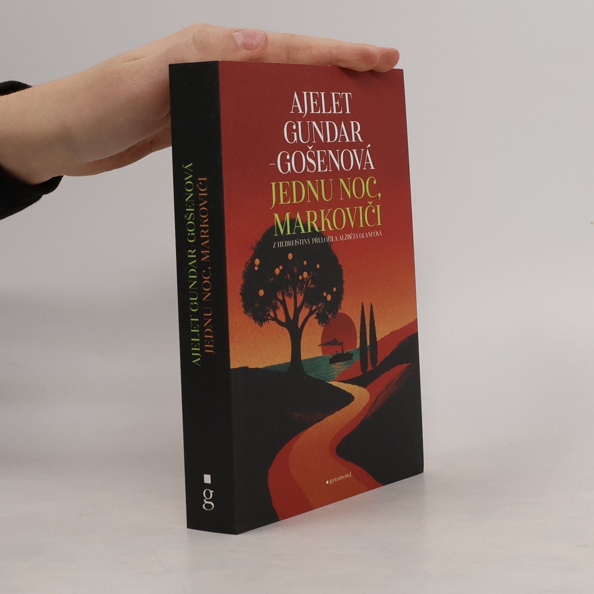 Ayelet Gundar-Goshen Jednu noc, Markoviči