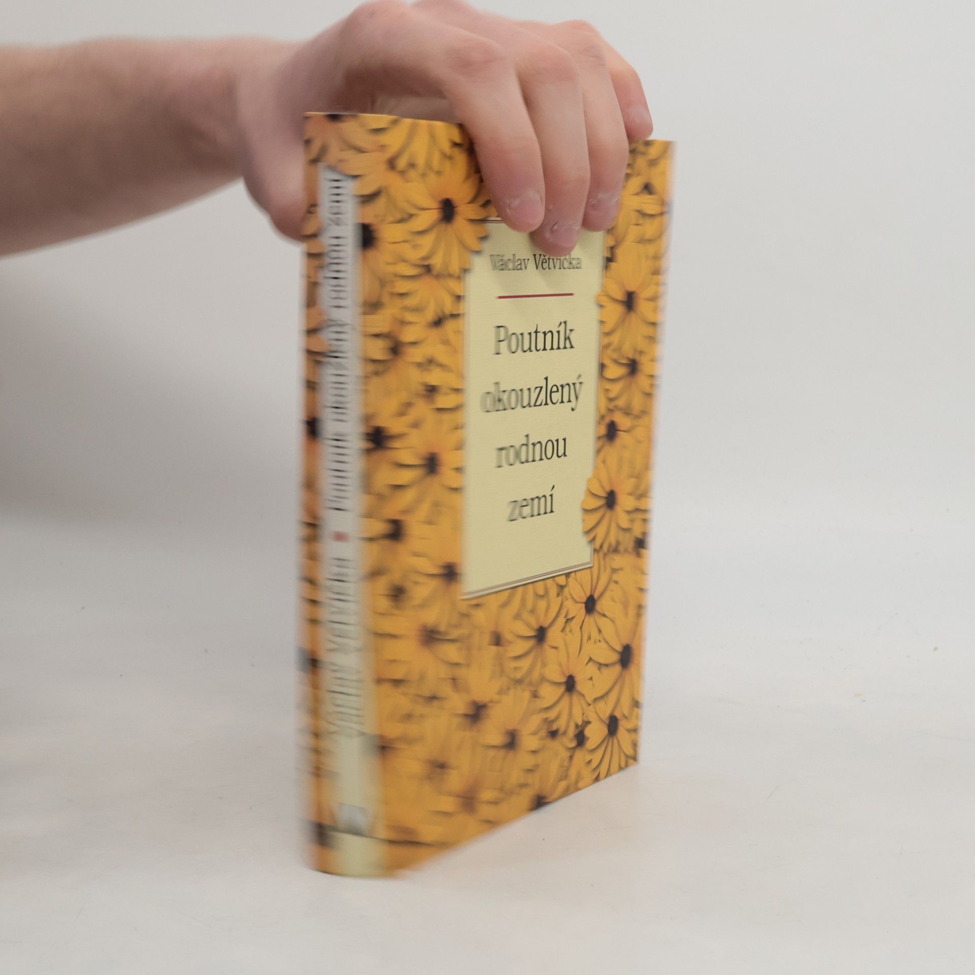 Václav Větvička Poutník okouzlený rodnou zemí