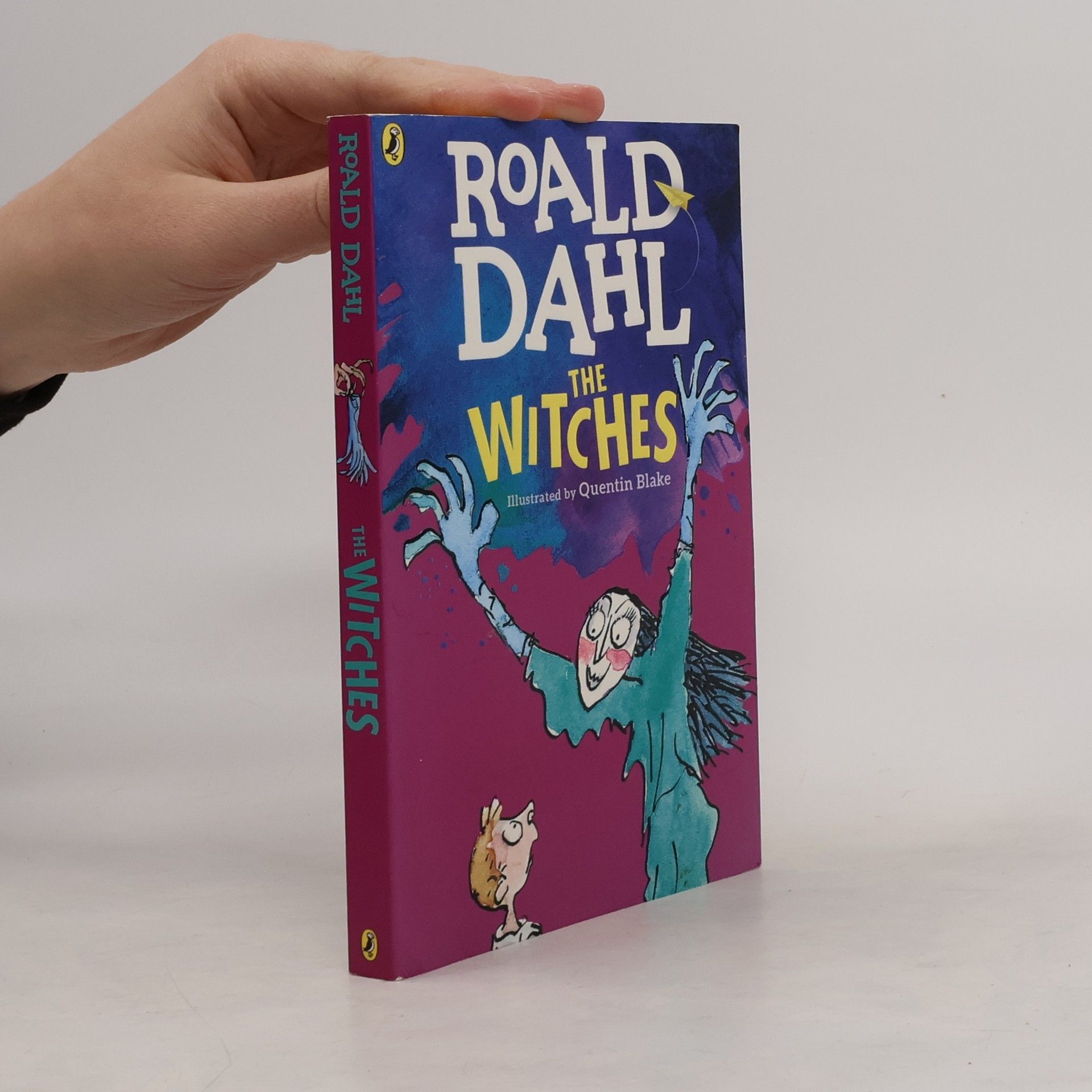 Roald Dahl The Witches