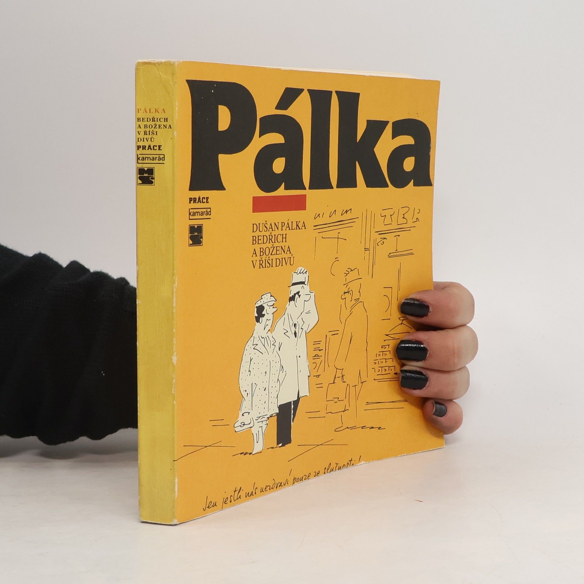 Dušan Pálka Bedřich a Božena v říši divů