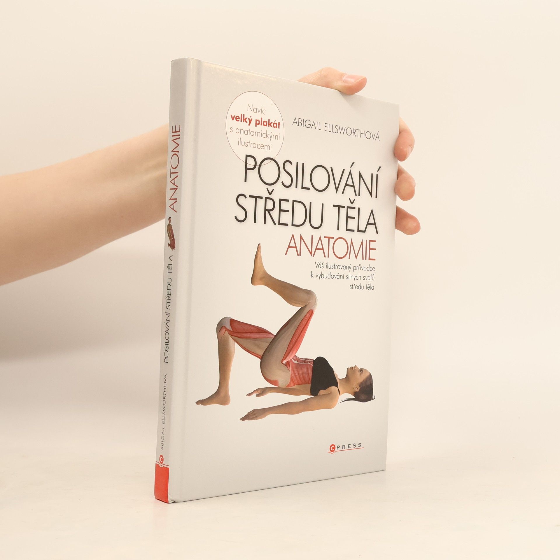 Abby Ellsworth Posilování středu těla - anatomie