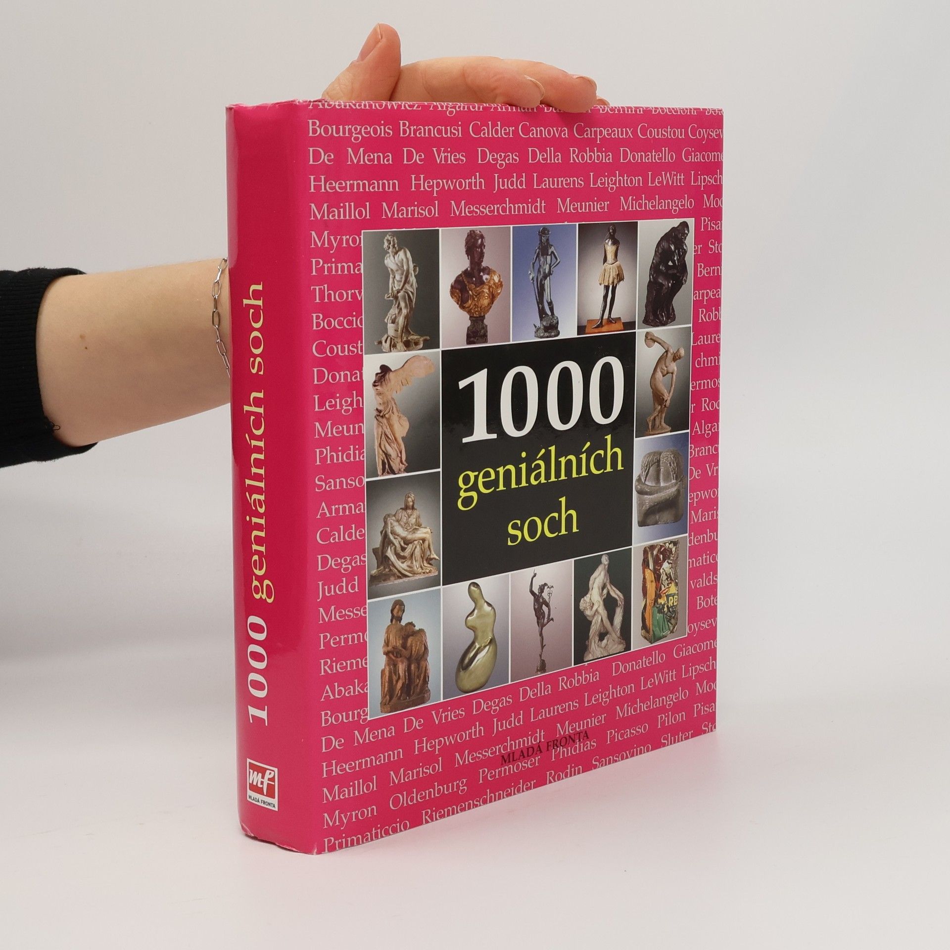 Sarah Costello 1000 geniálních soch
