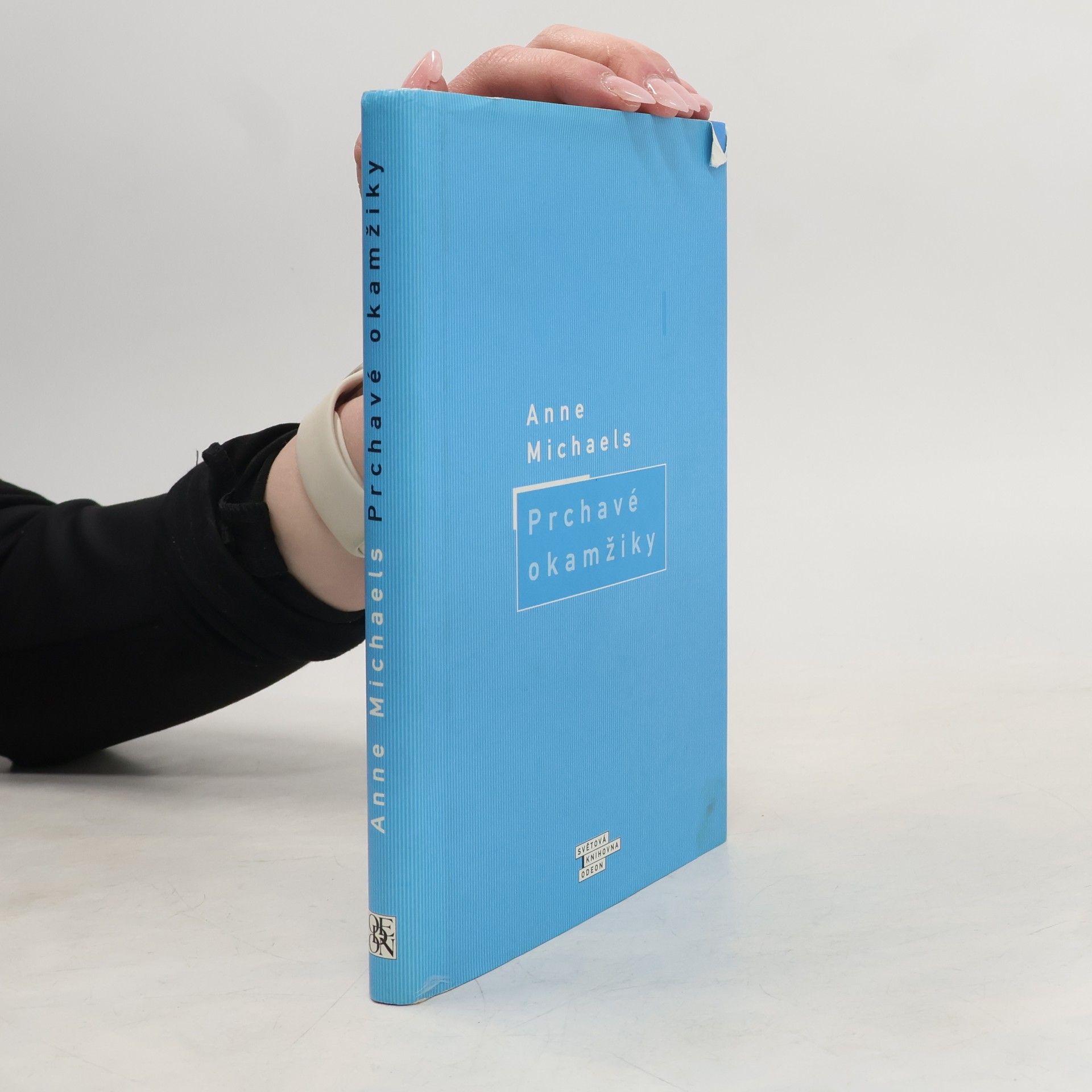 Anne Michaels Prchavé okamžiky