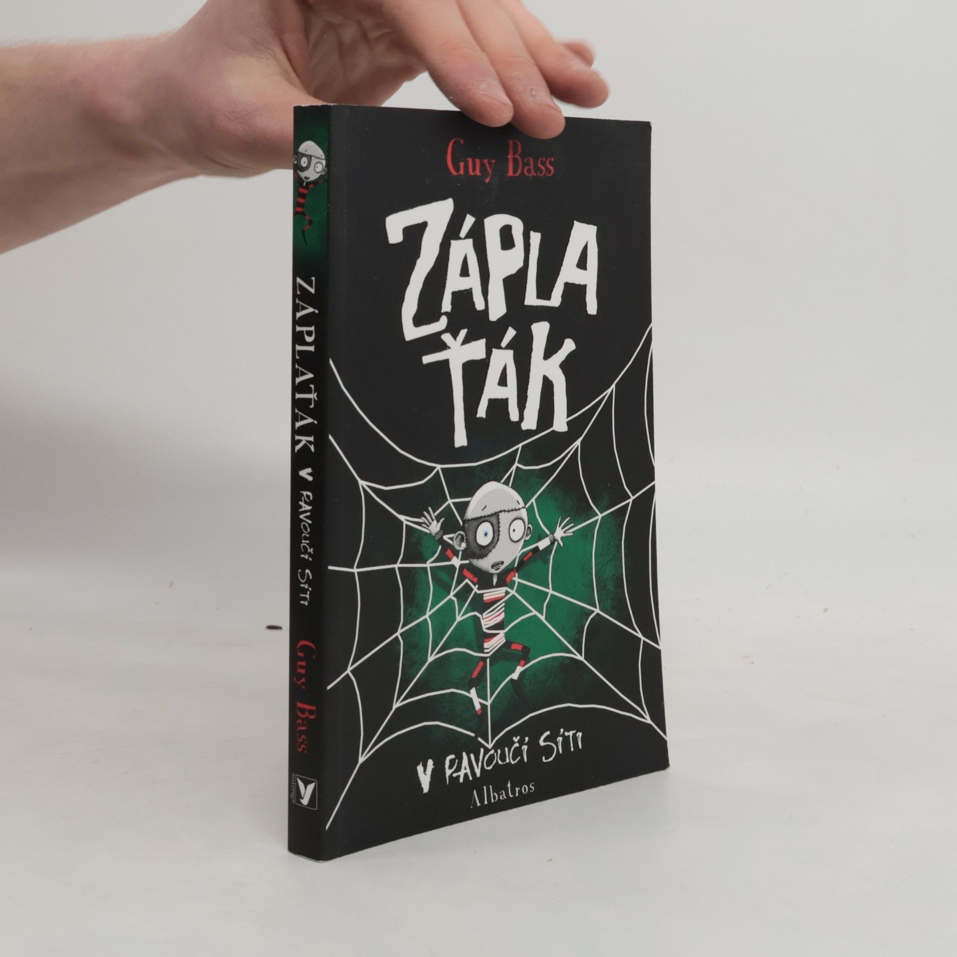 Záplaťák v pavoučí síti