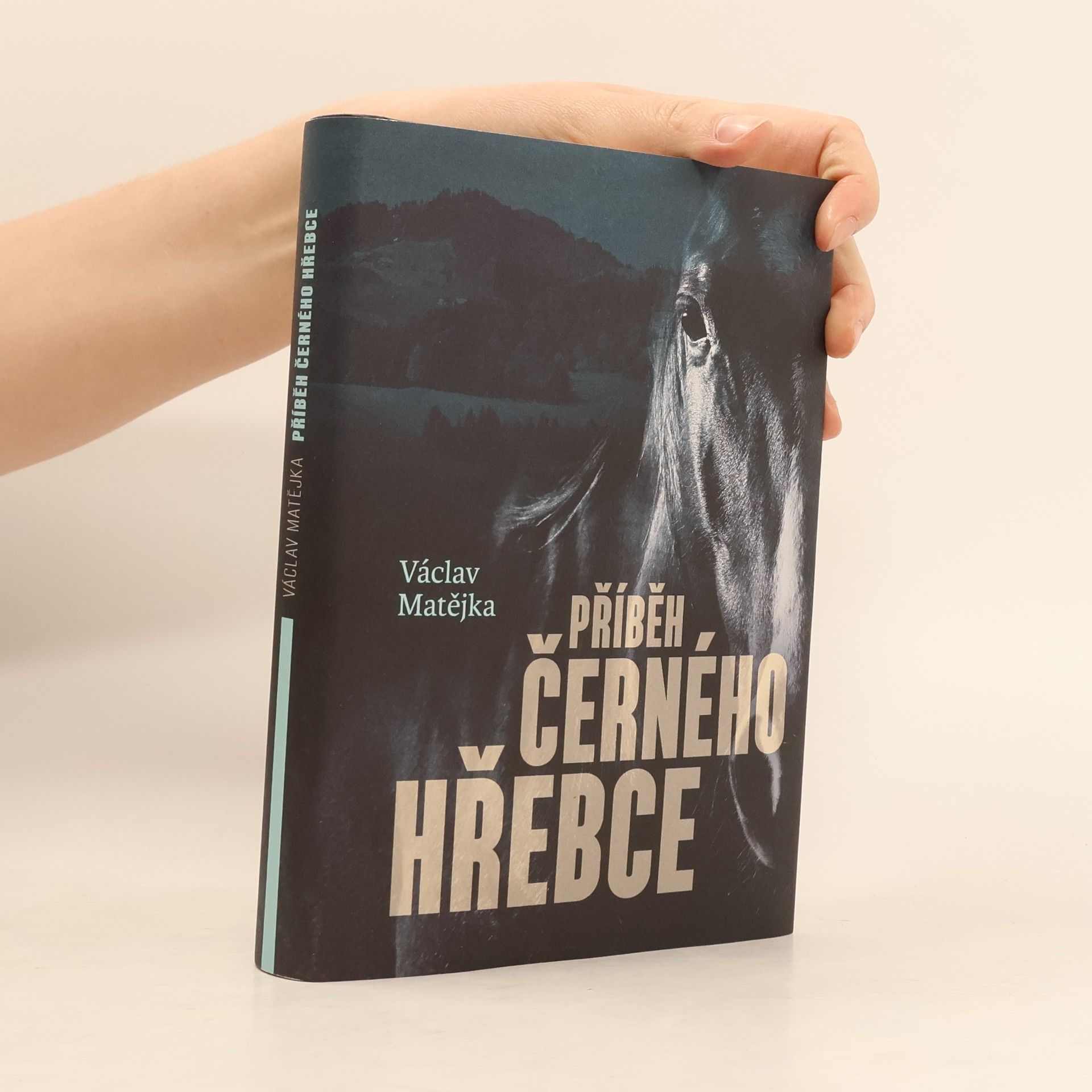 Václav Matějka Příběh černého hřebce
