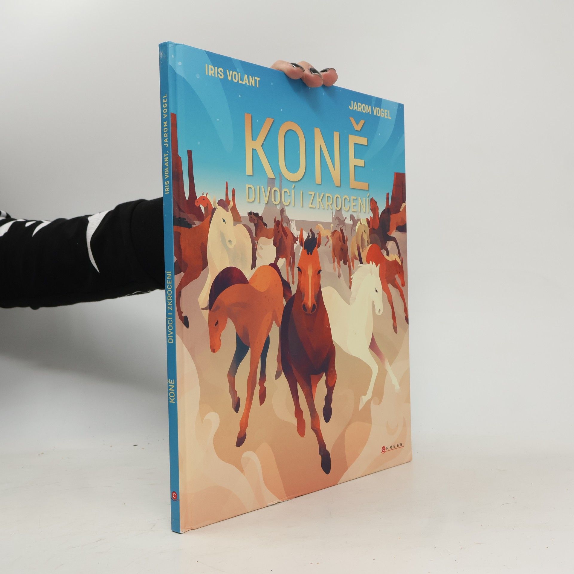 Jarom Vogel Koně: Divocí i zkrocení