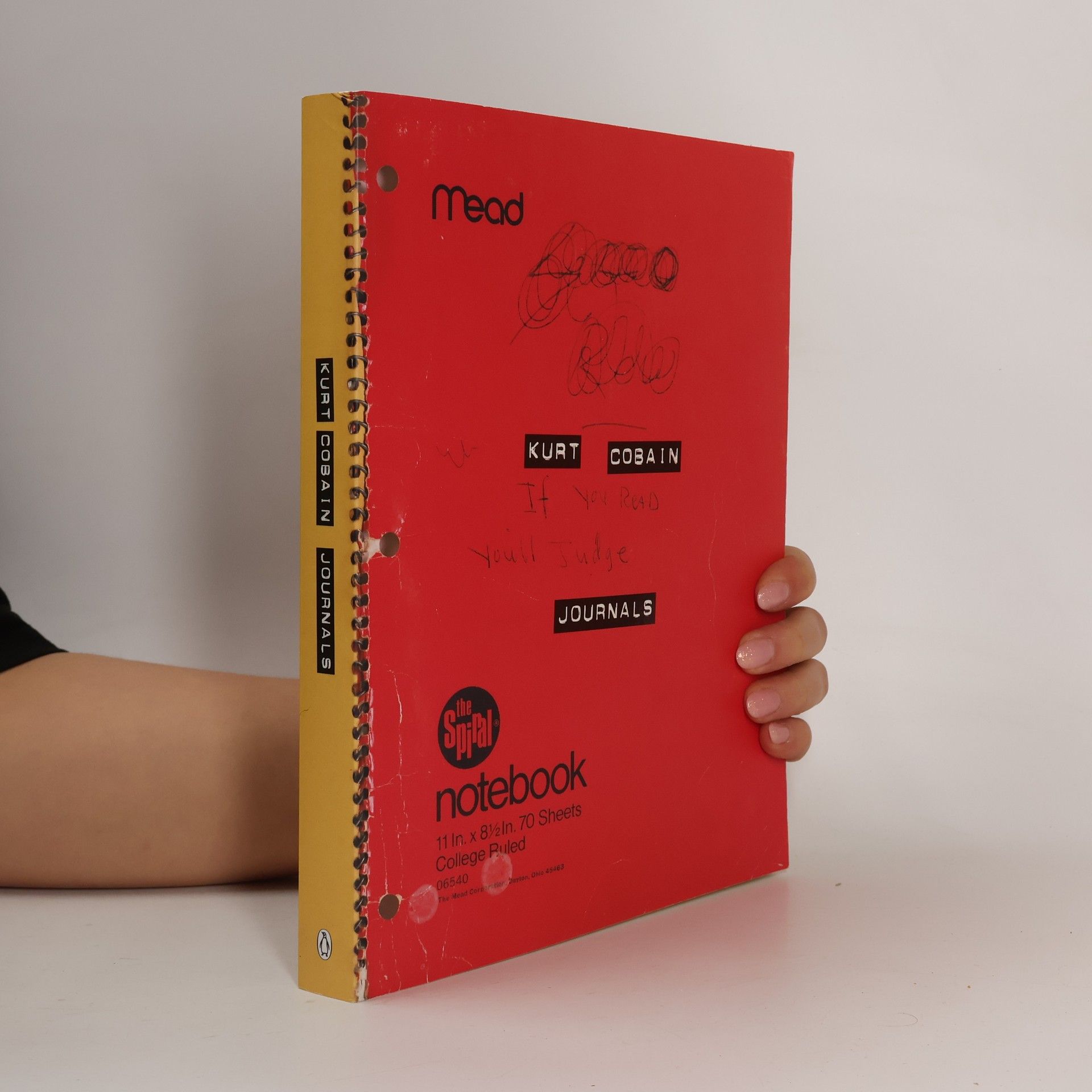 Kurt Cobain Journals