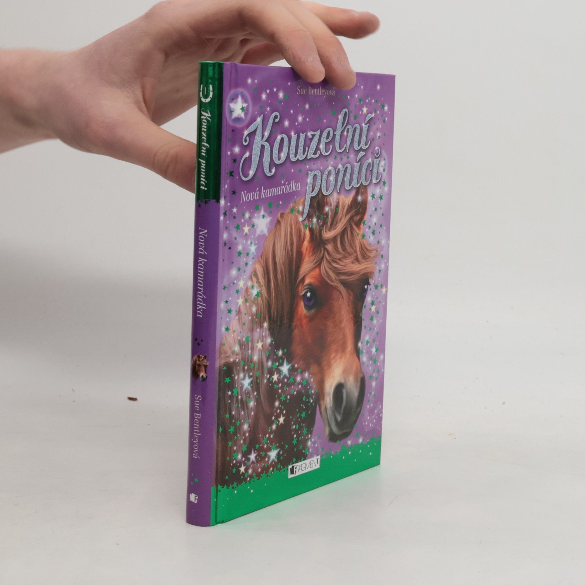 Sue Bentley Nová kamarádka