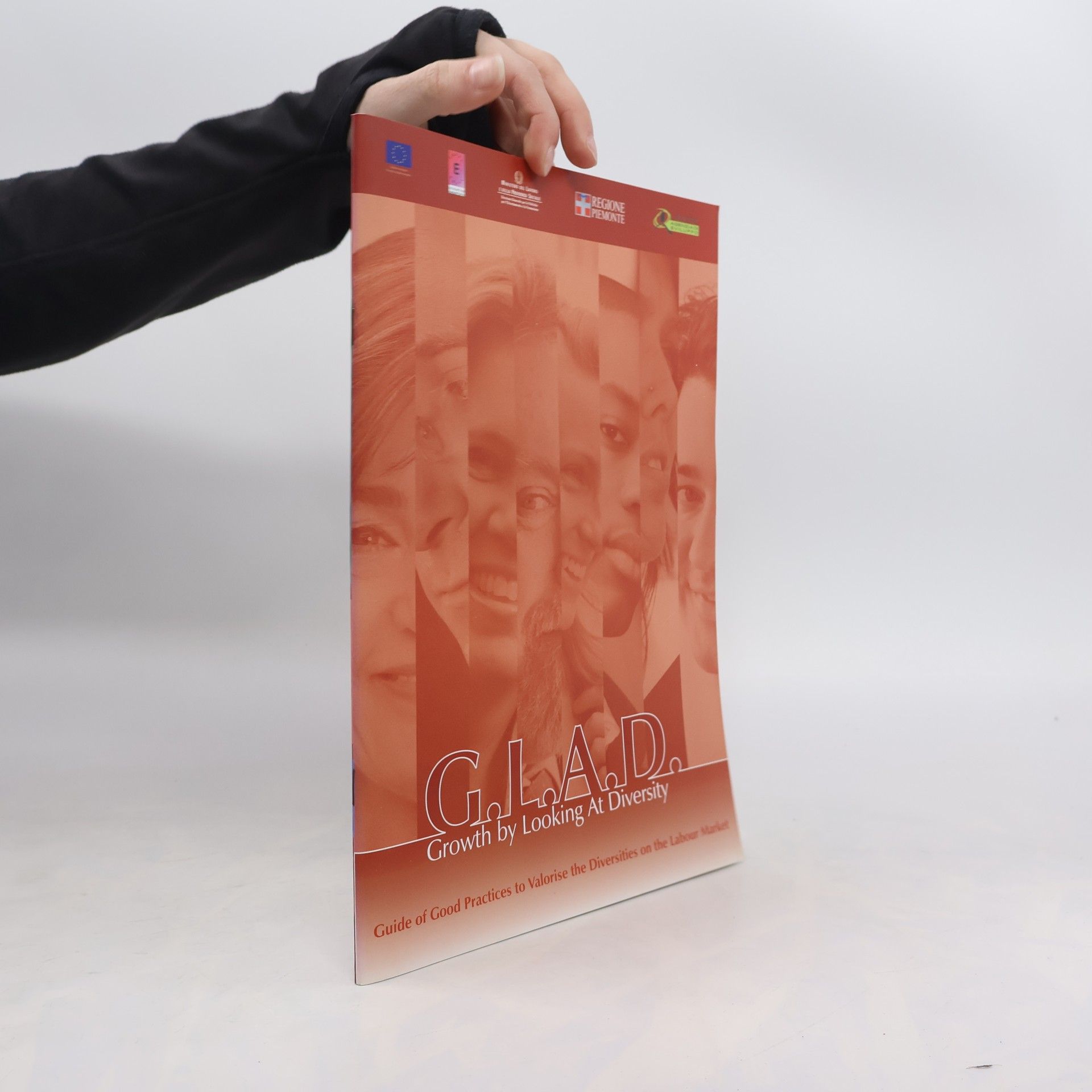 Kolektív autorov GLAD. Growth by Looking At Diversity