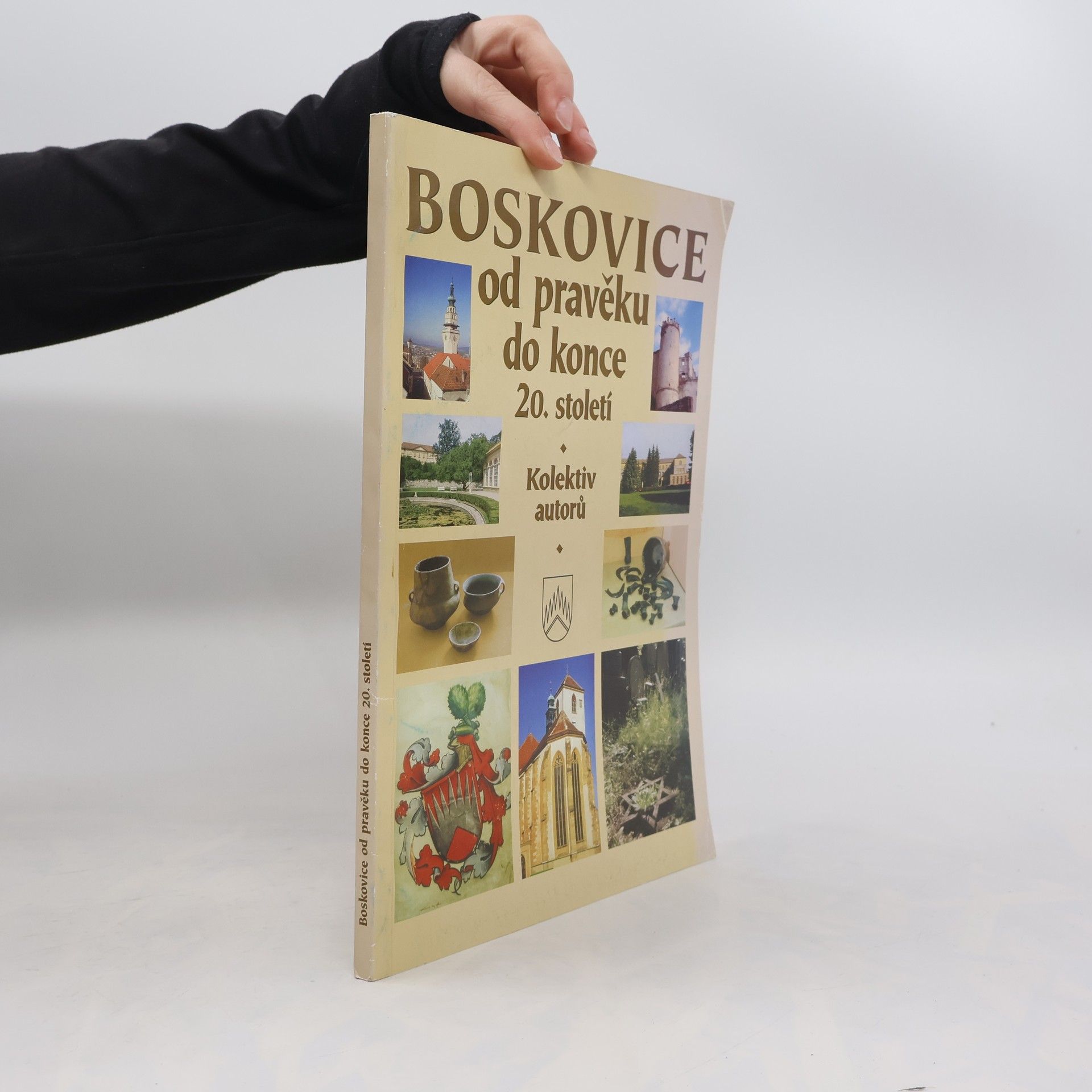 Autorenkollektiv Boskovice. Od pravěku do konce 20. století